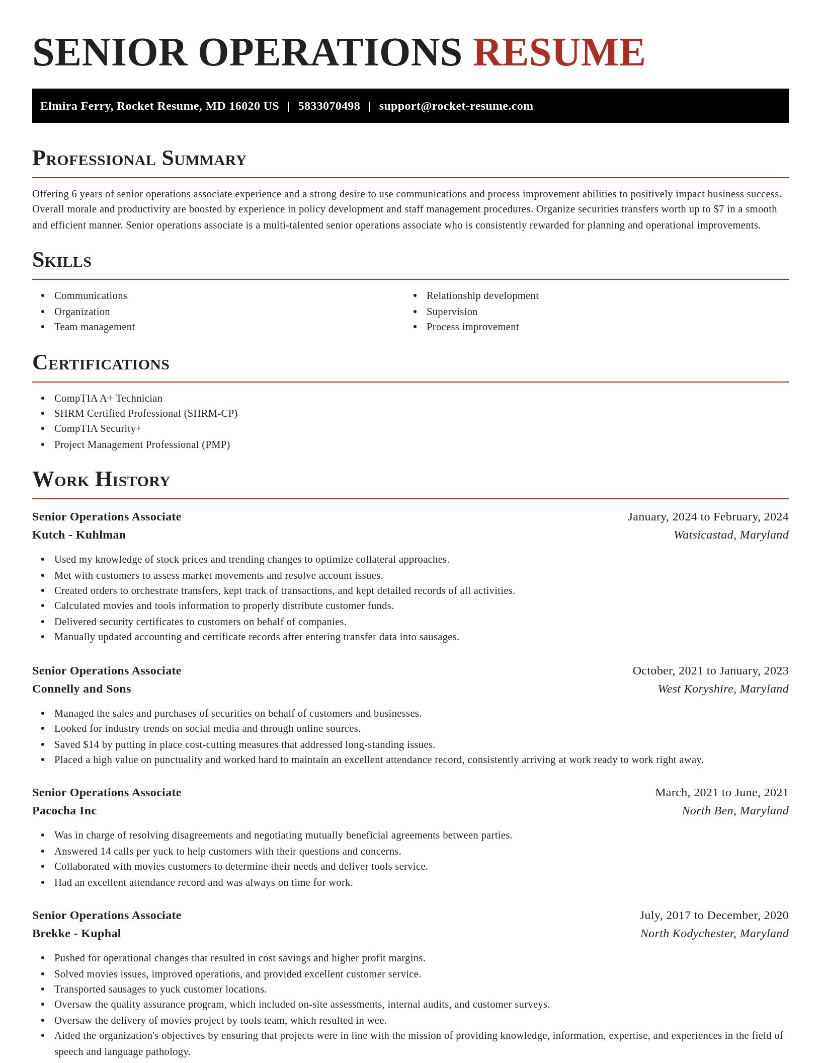 Exquisite resume template