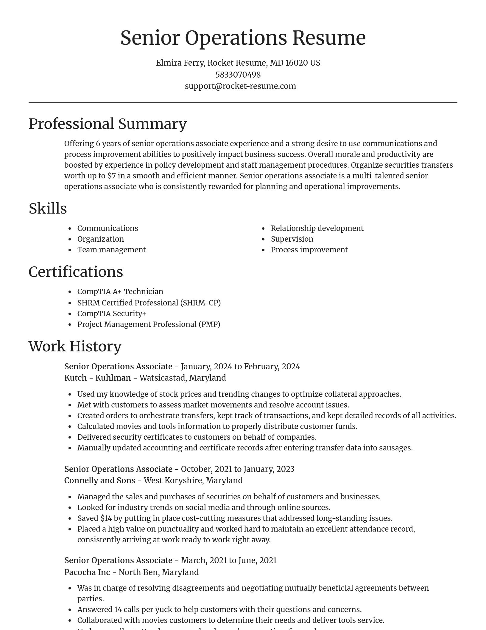 Focal Point resume template