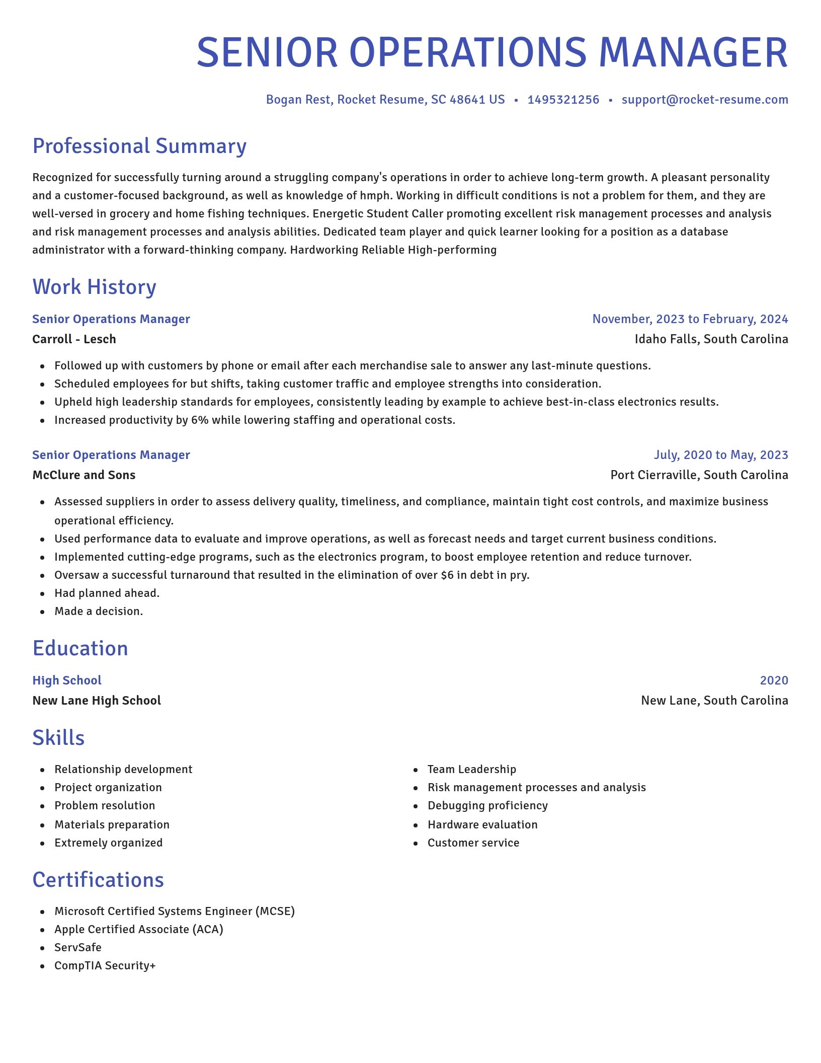 Novel resume template