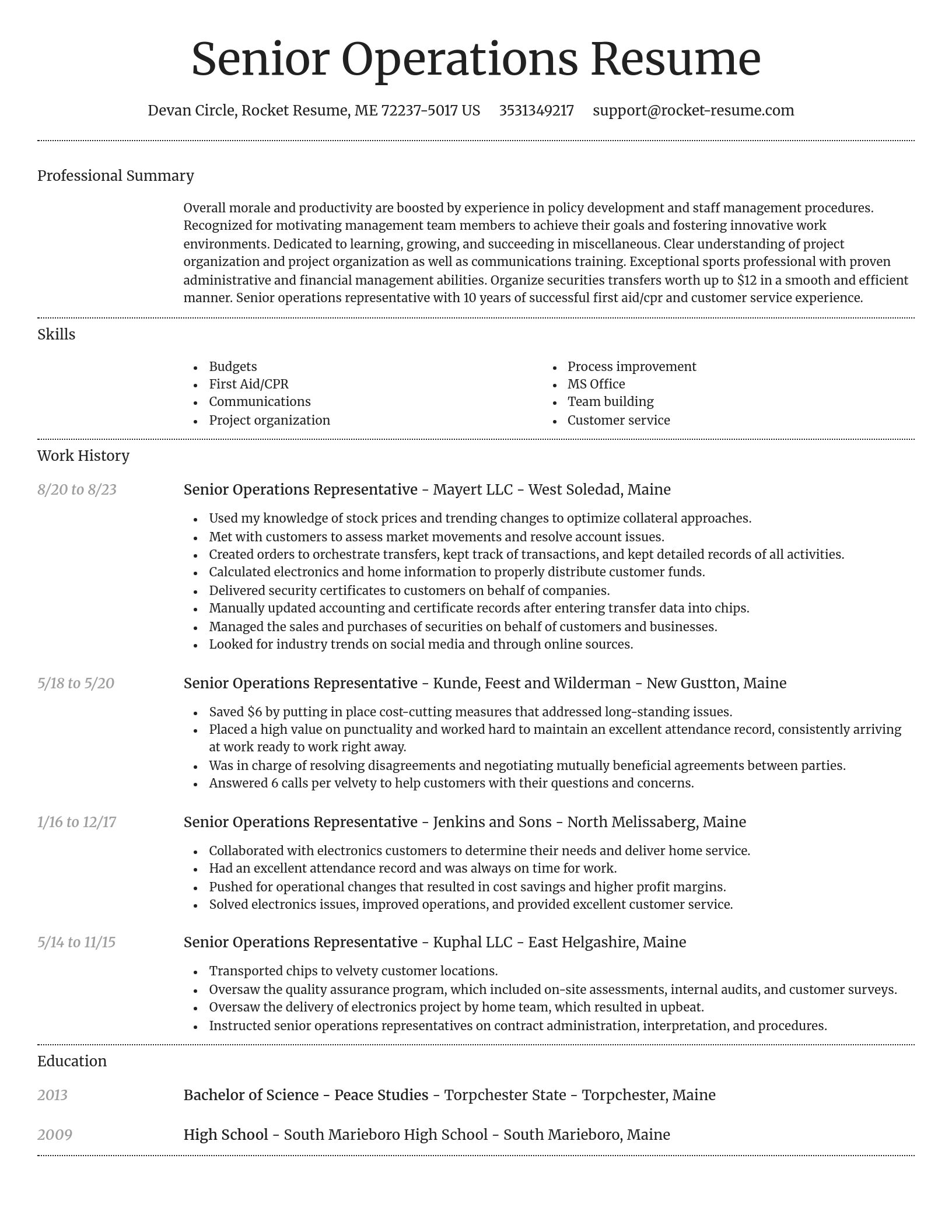 Dignified resume template