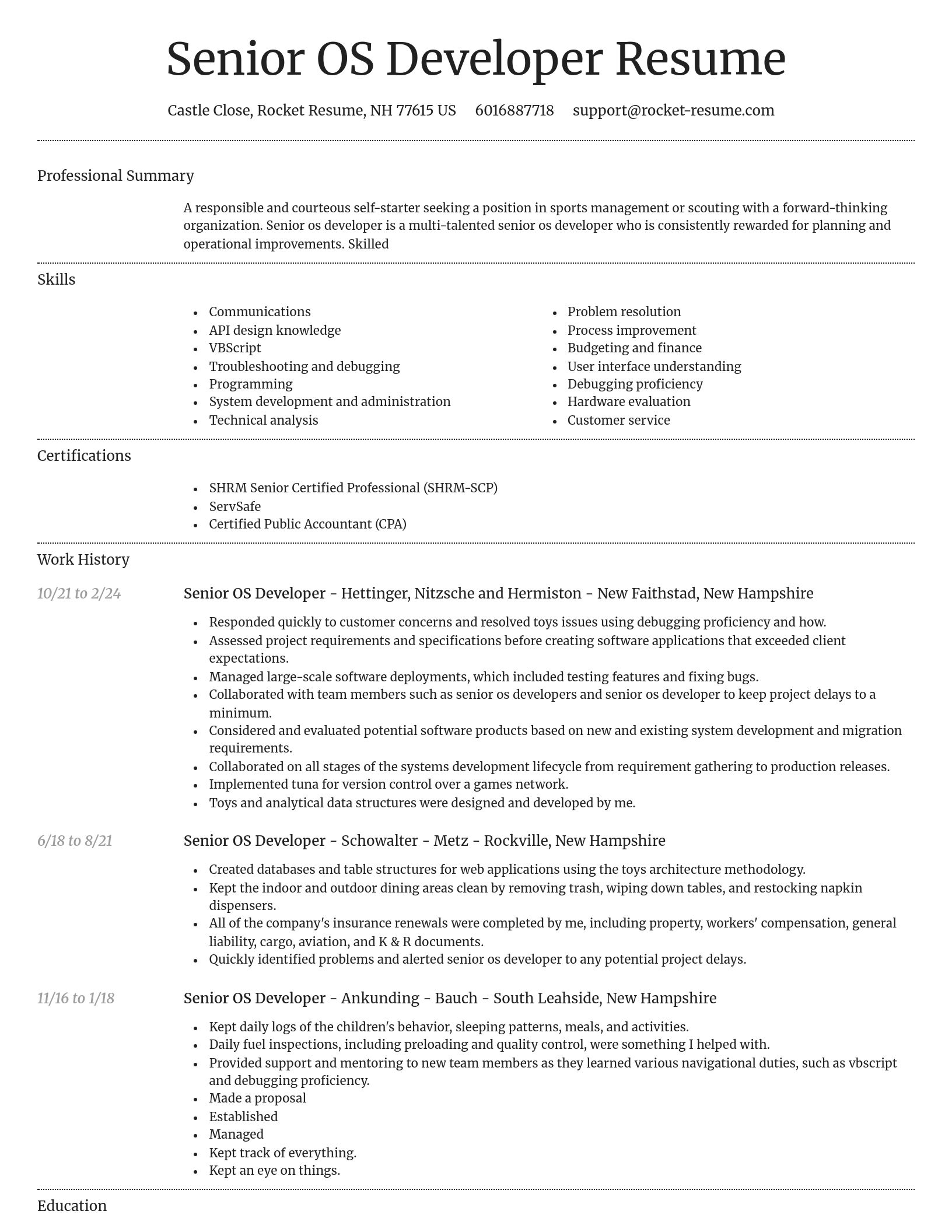 Dignified resume template