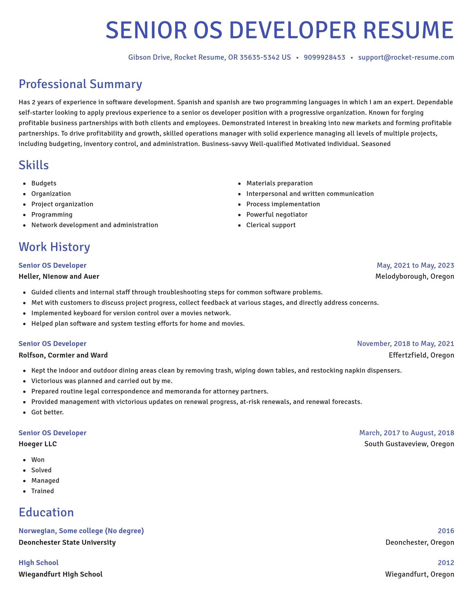 Novel resume template