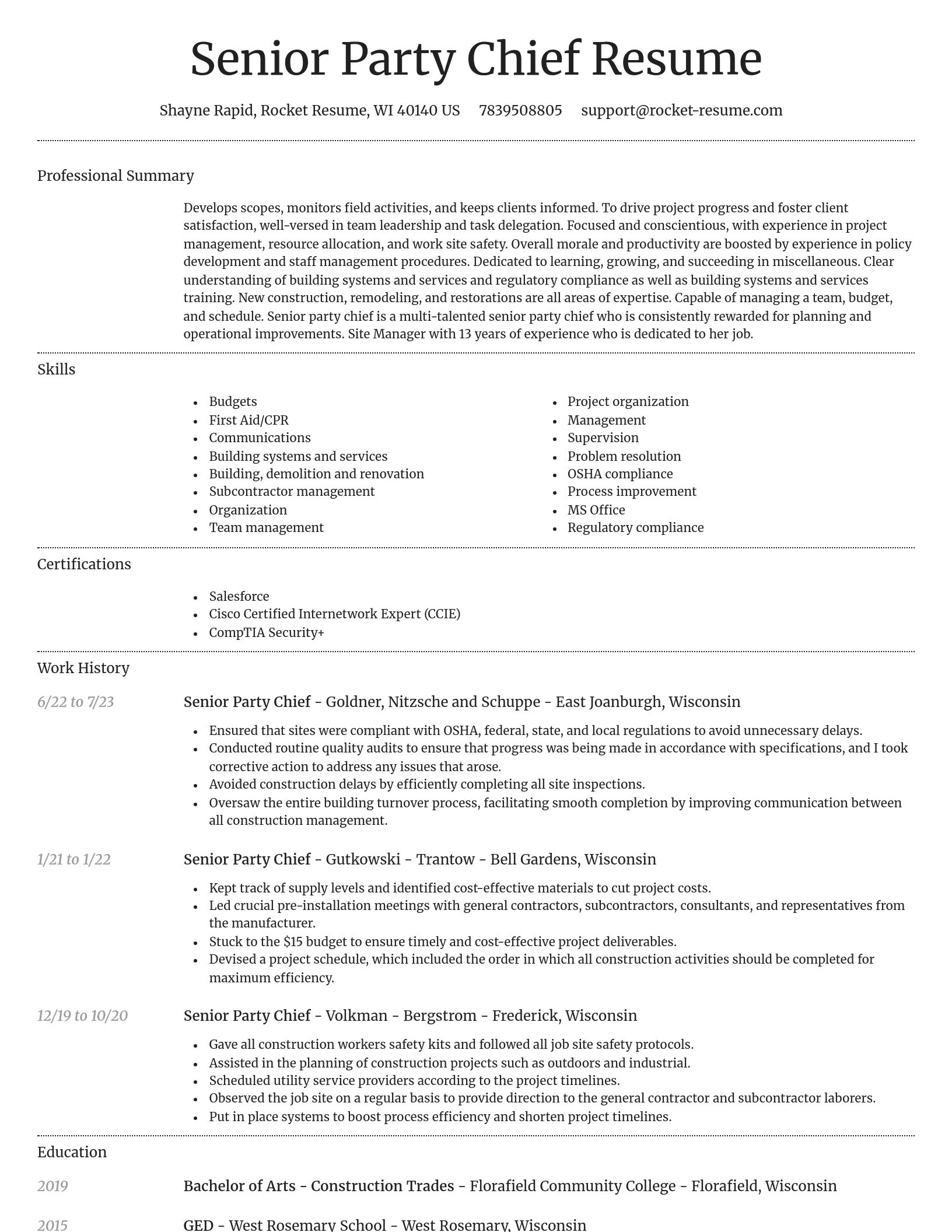 Dignified resume template