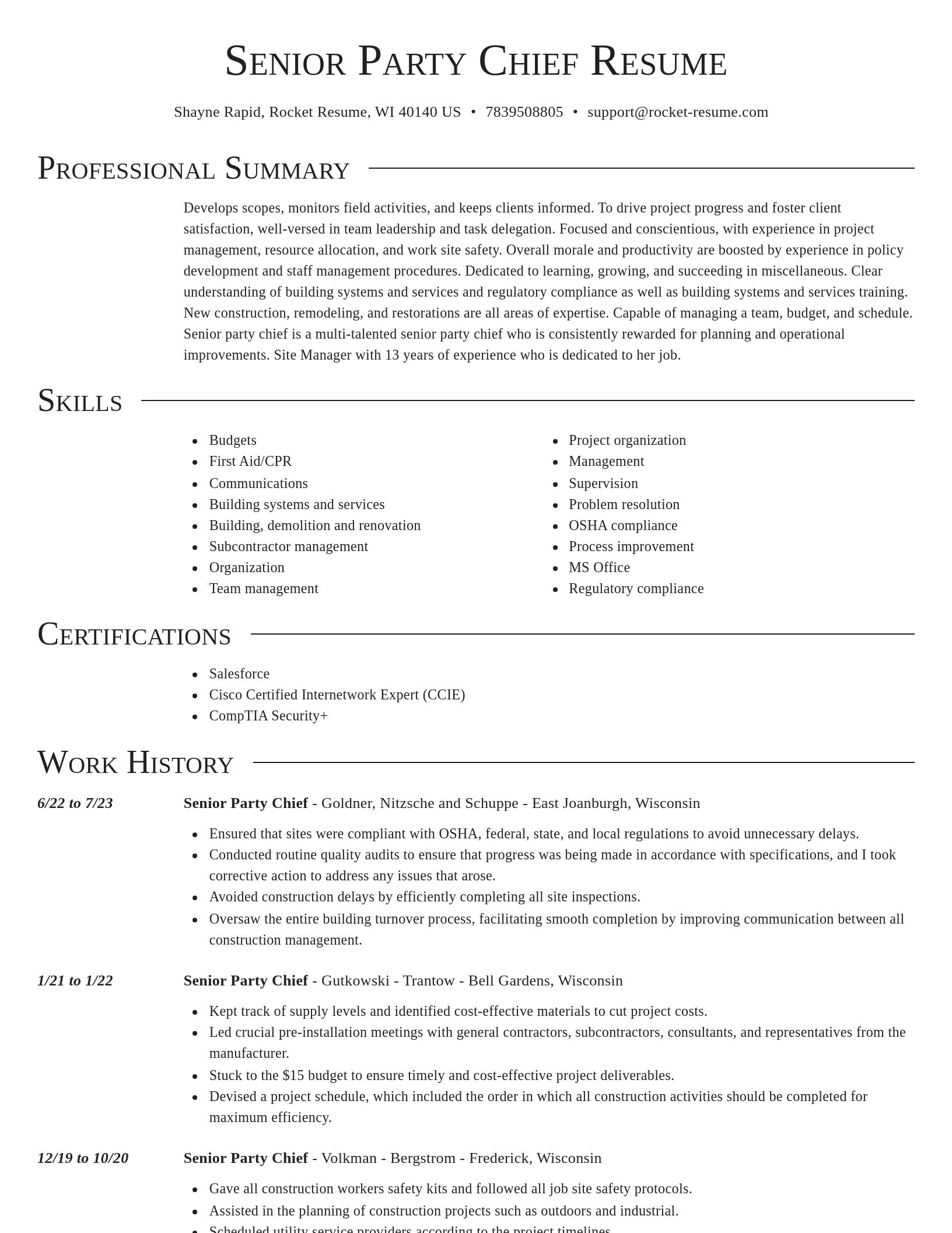 Director resume template