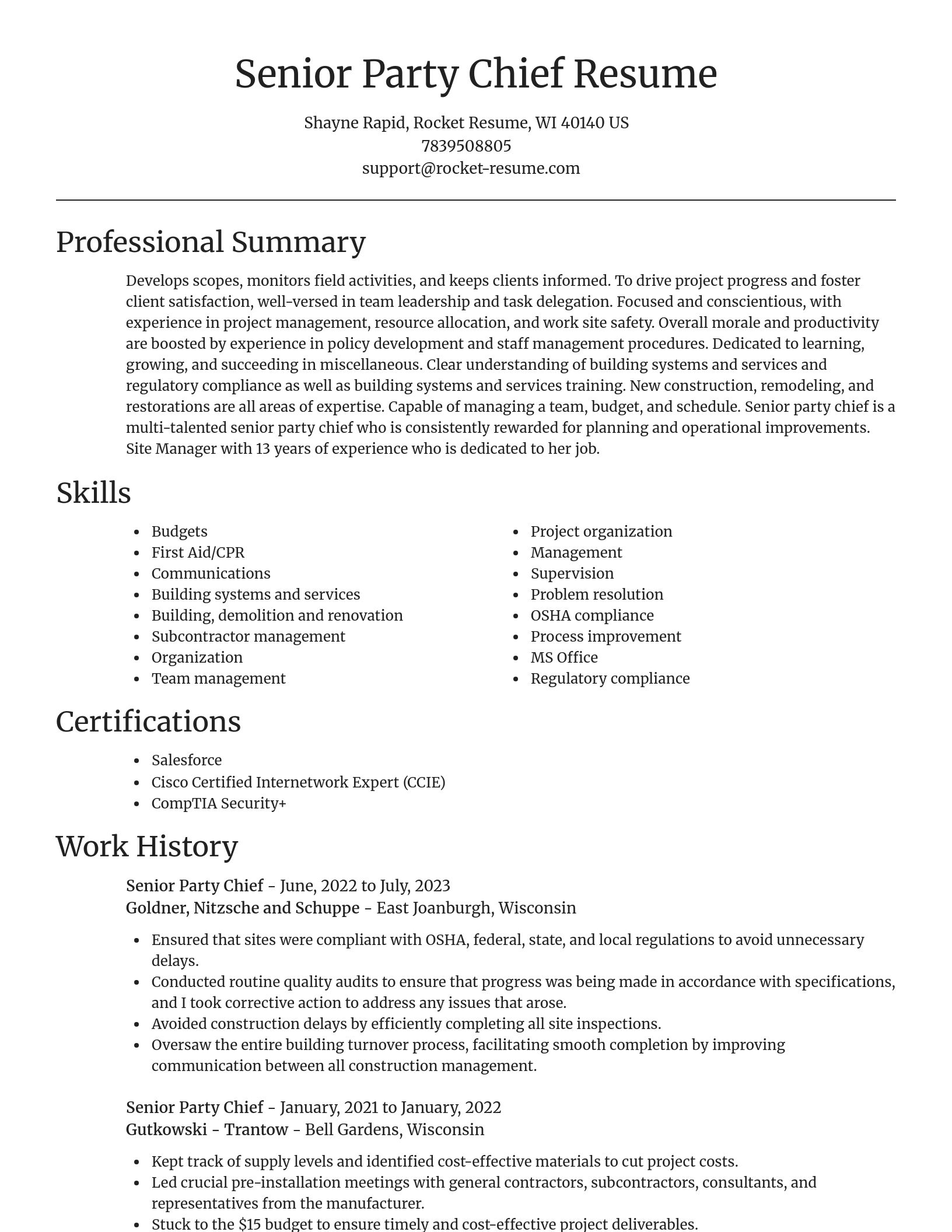 Focal Point resume template