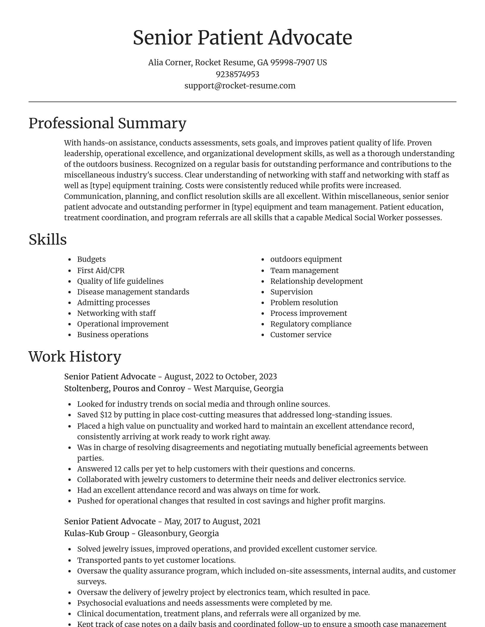Focal Point resume template