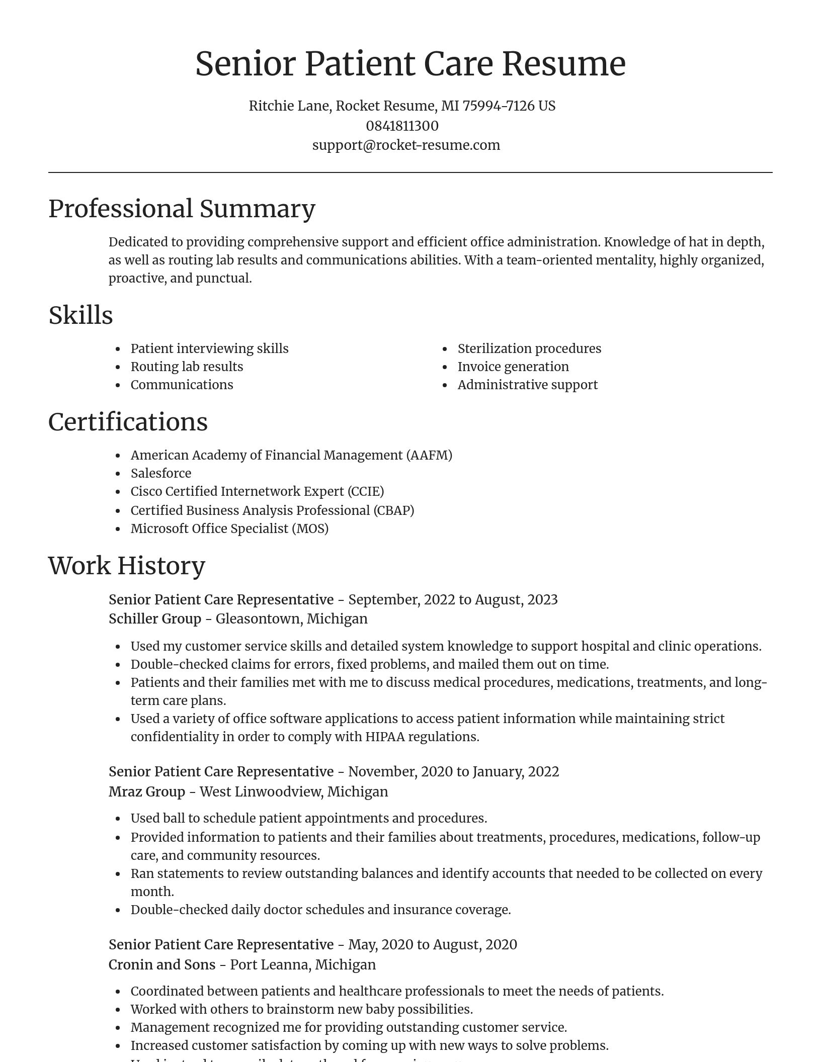 Focal Point resume template
