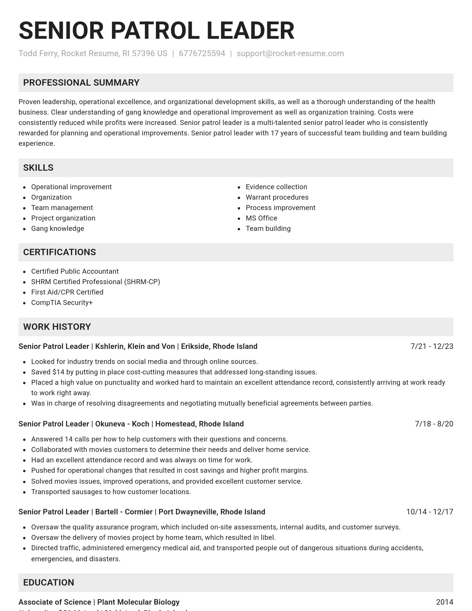 Genius resume template