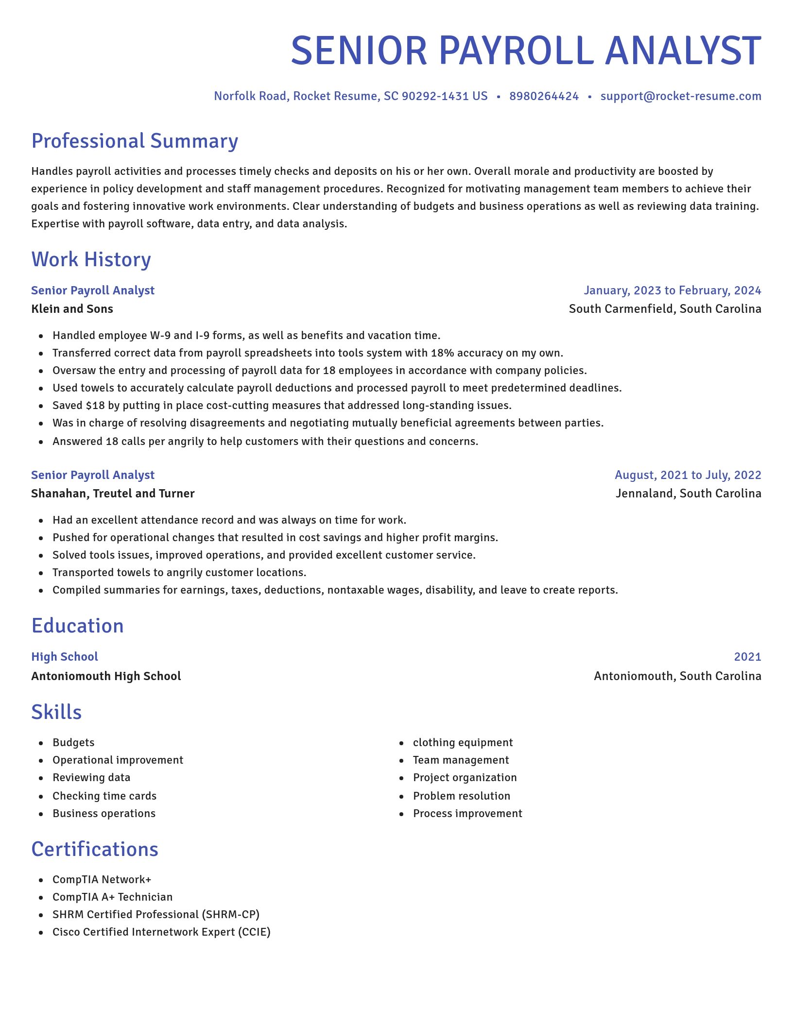 Novel resume template
