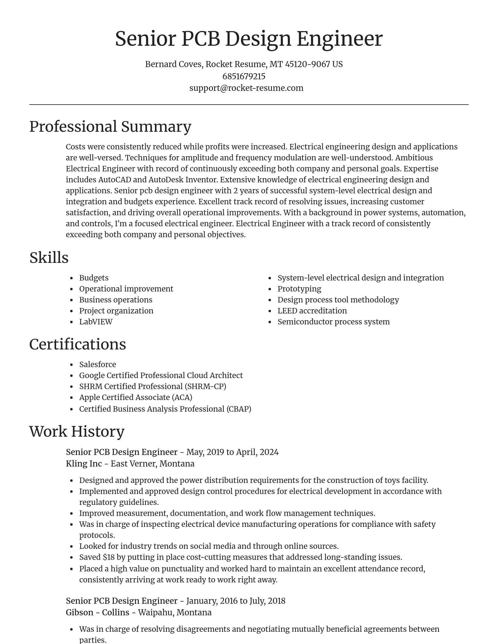 Focal Point resume template
