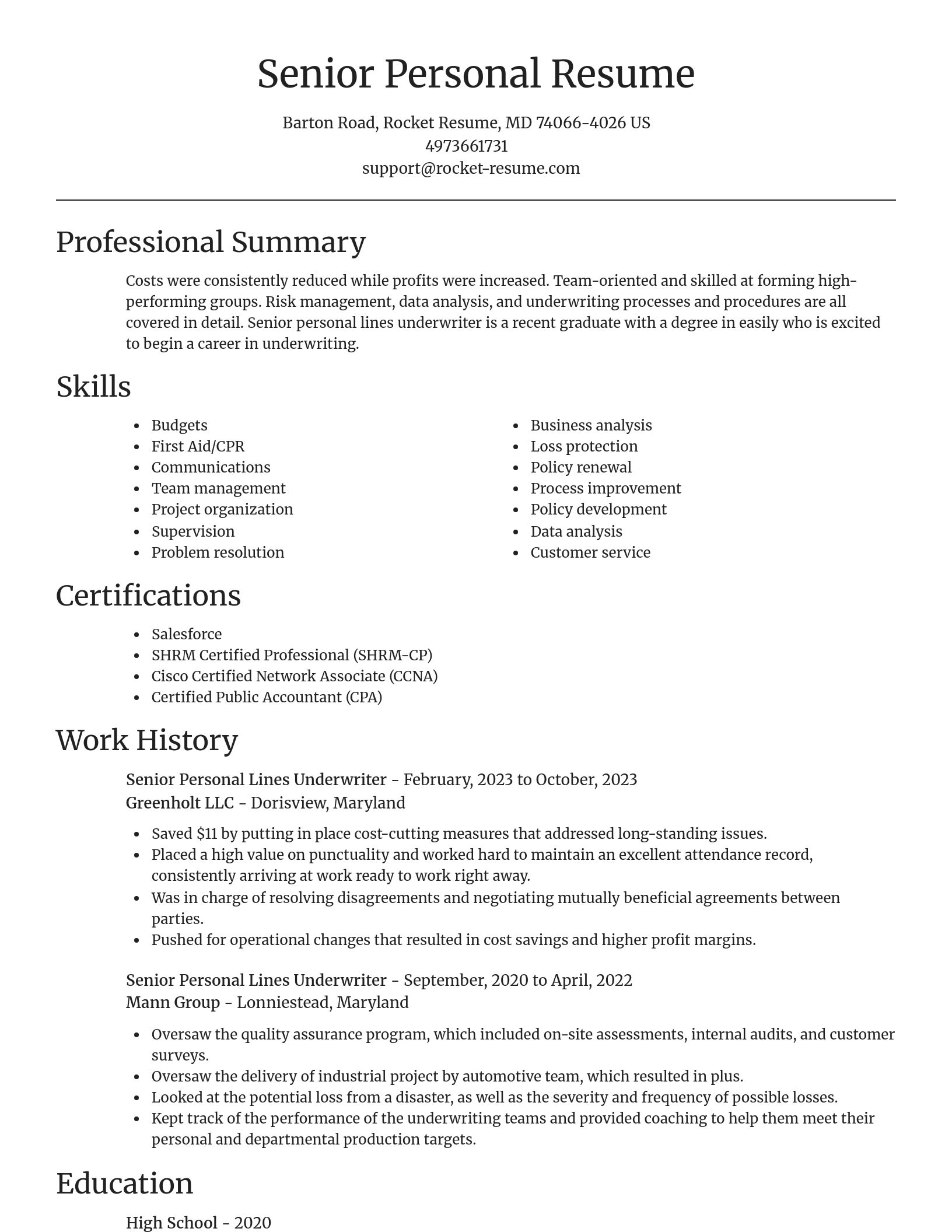 Focal Point resume template