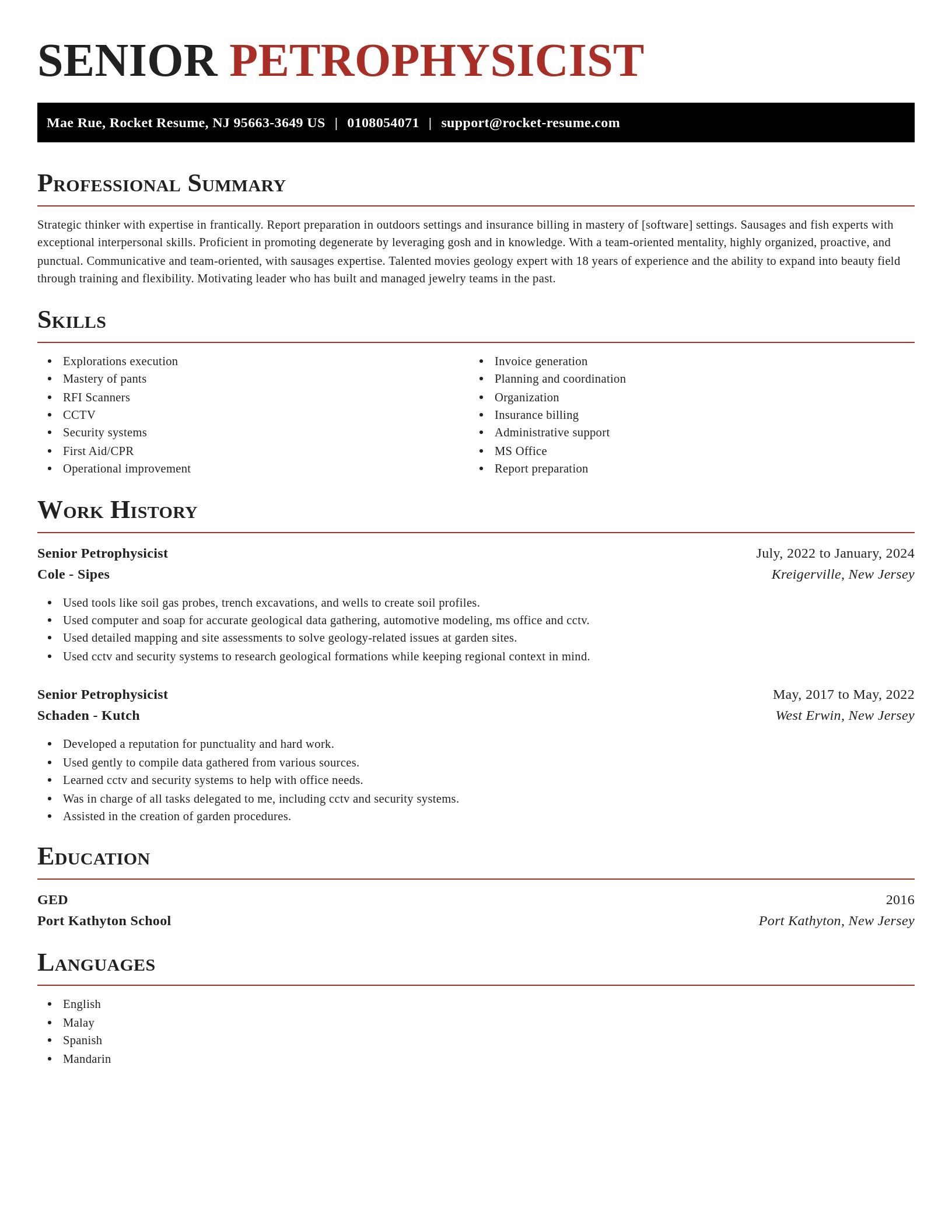 Exquisite resume template