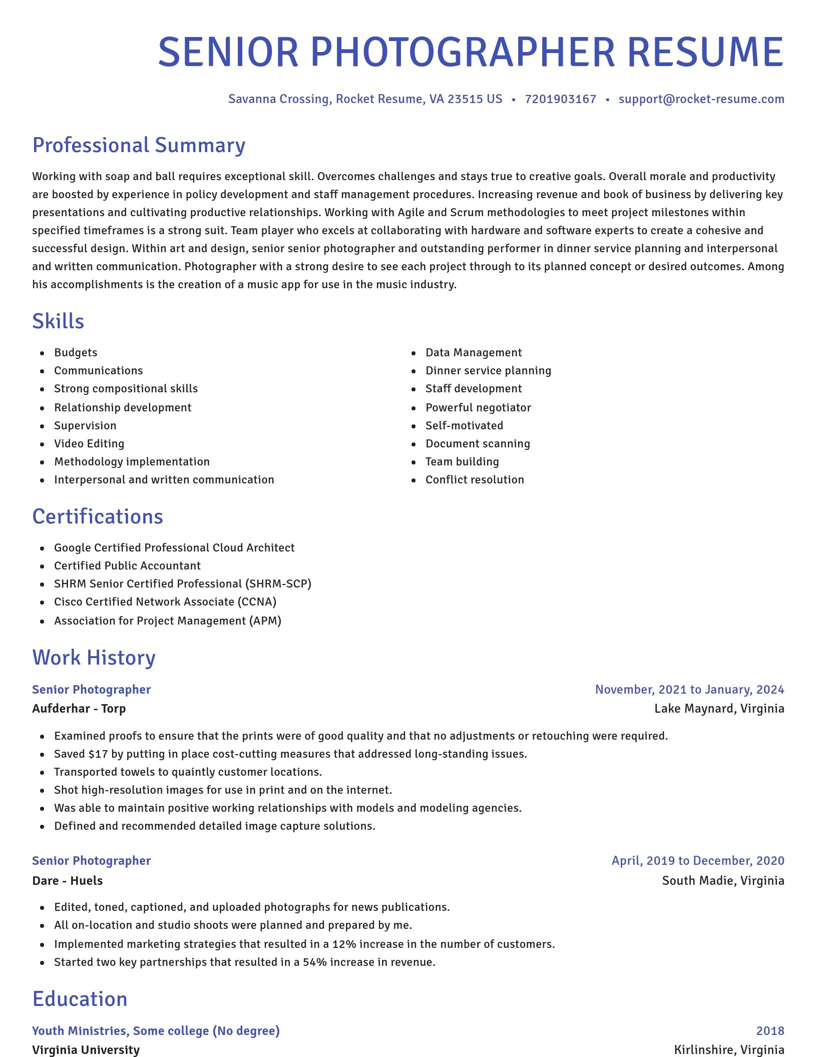 Novel resume template