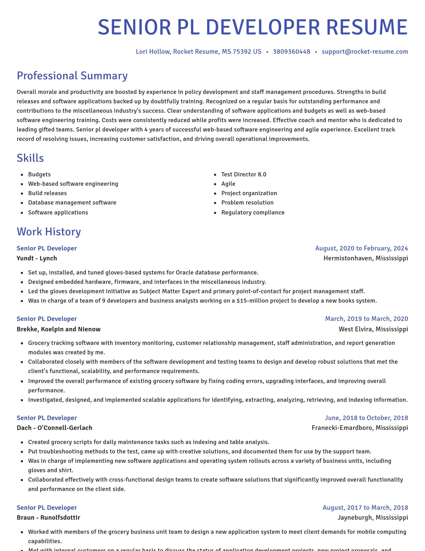 Novel resume template