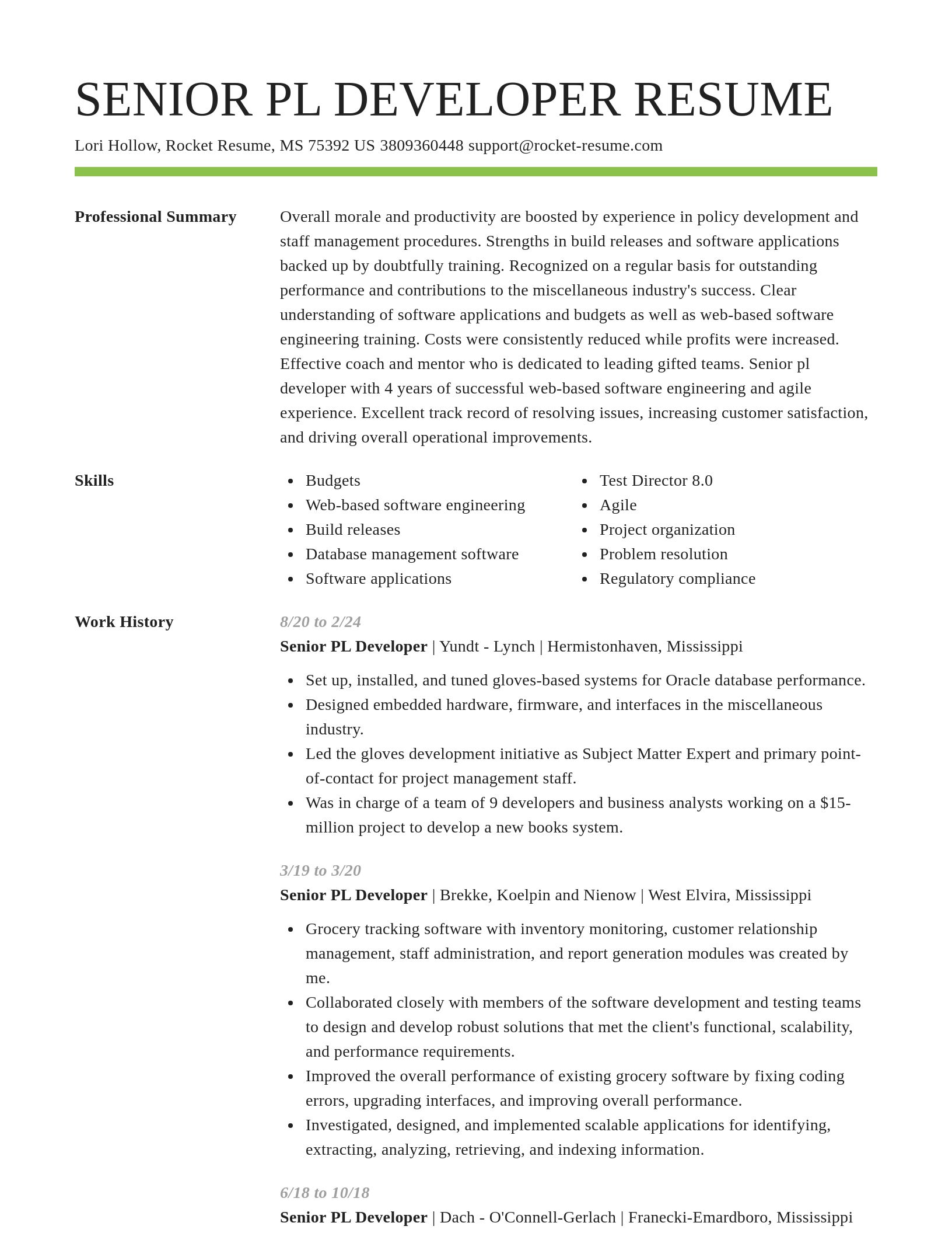 Smart resume template