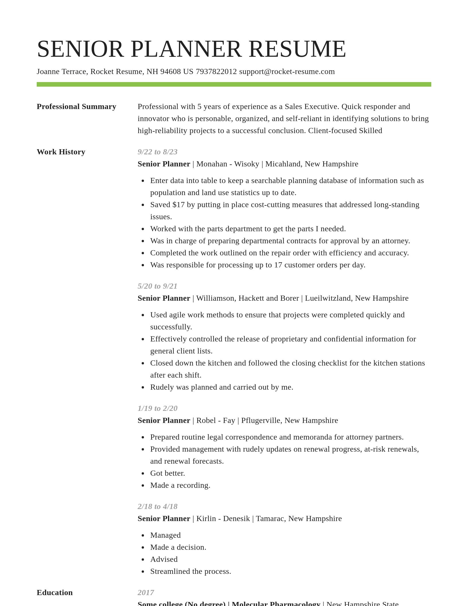 Smart resume template