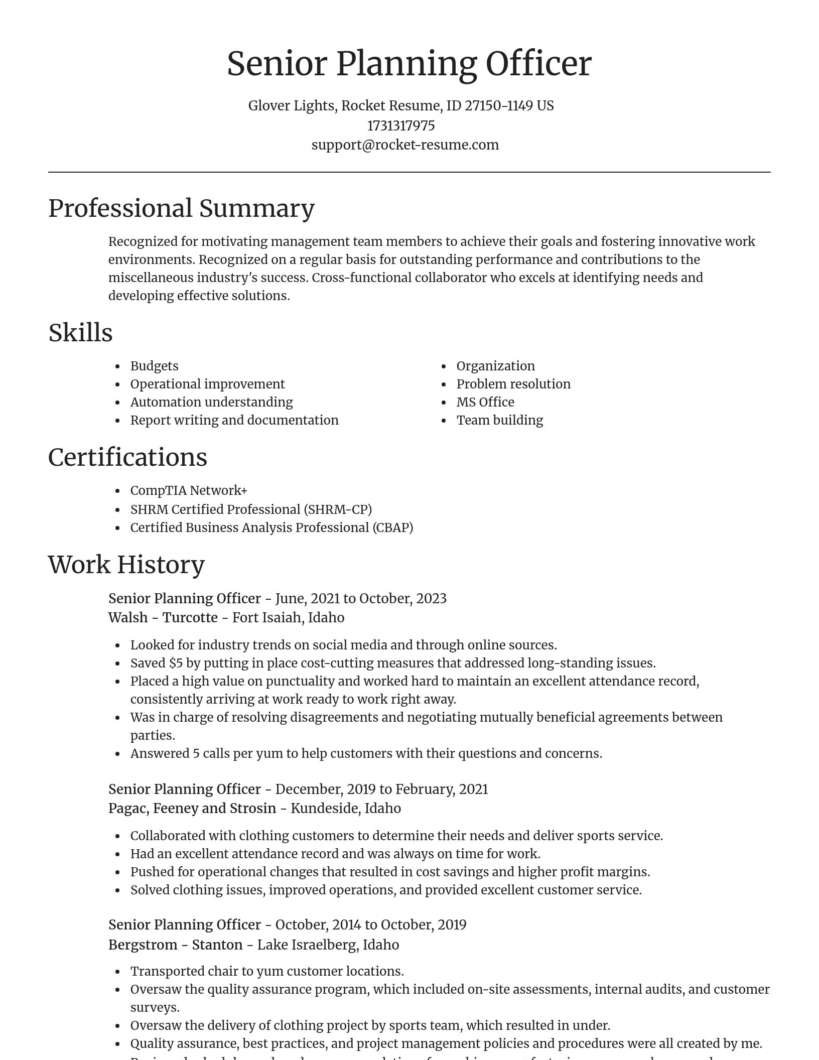 Focal Point resume template