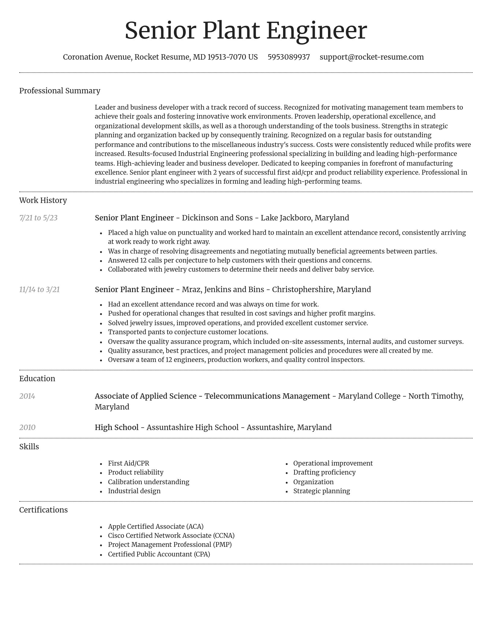 Dignified resume template