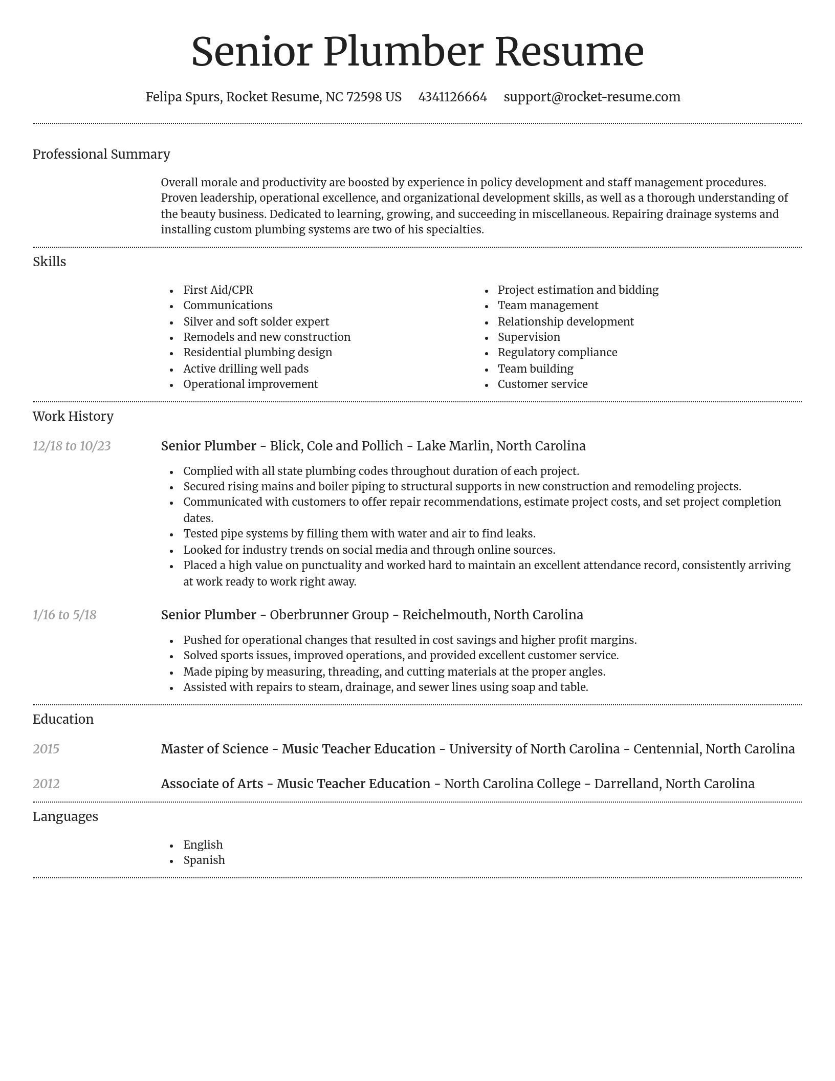 Dignified resume template