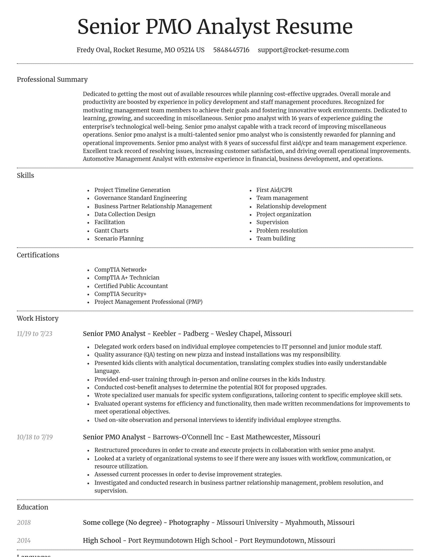 Dignified resume template