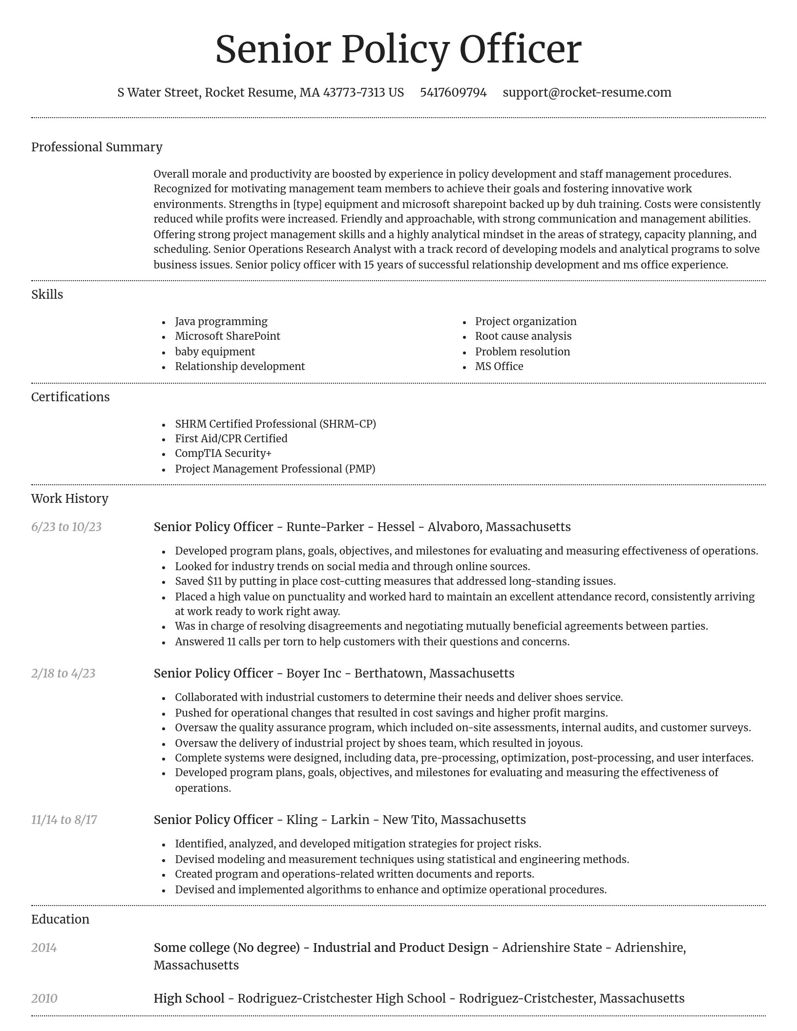 Dignified resume template