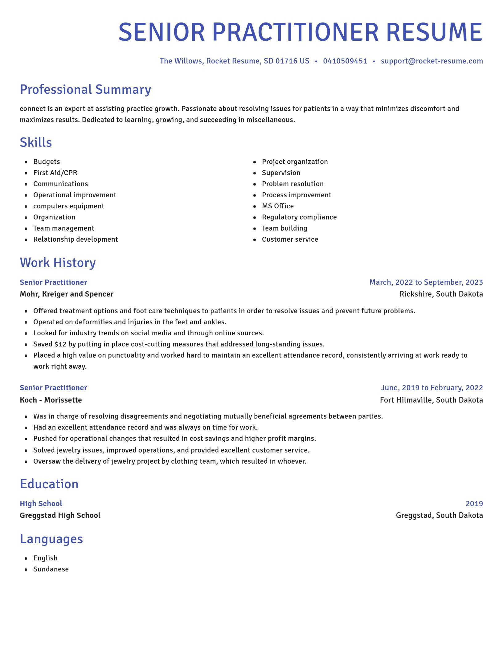 Novel resume template