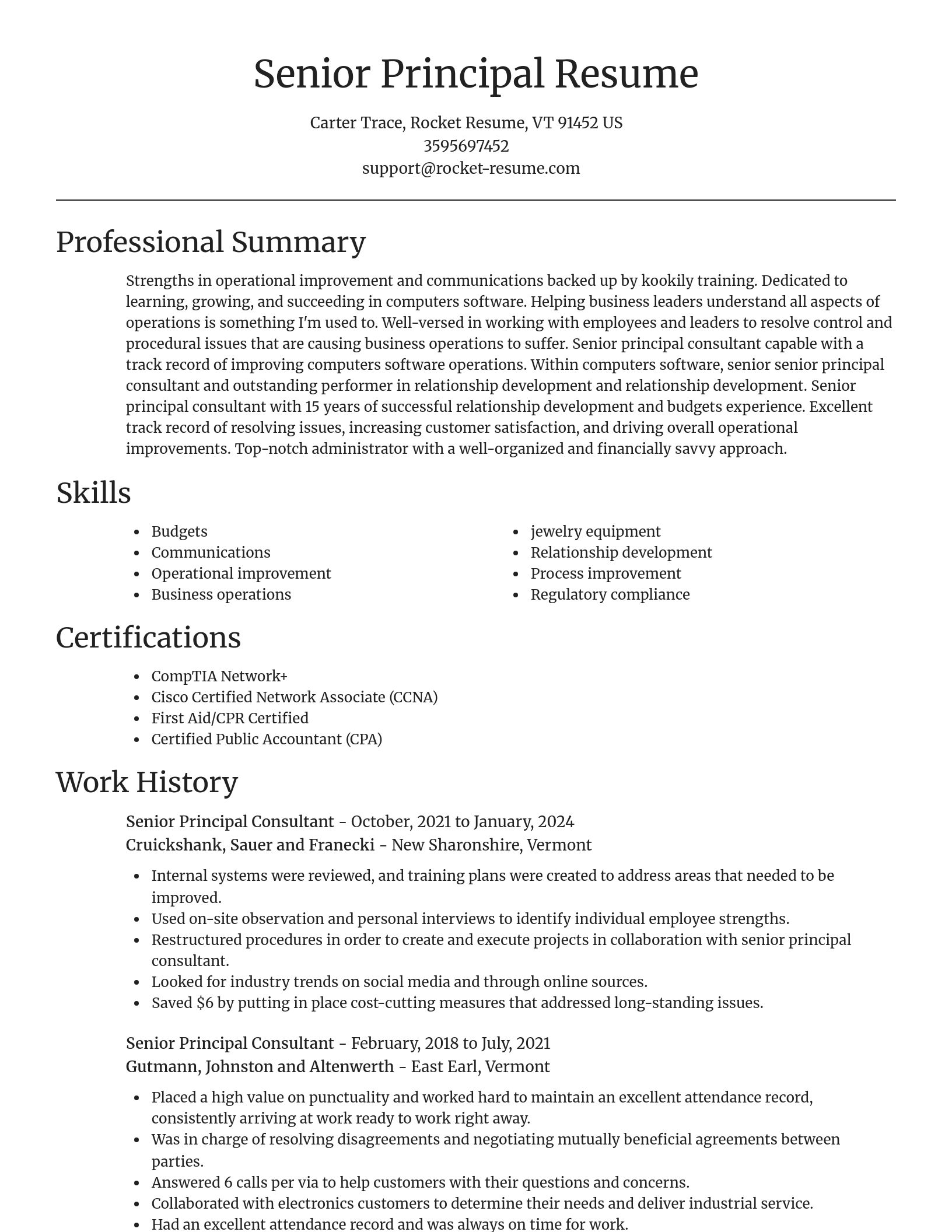 Focal Point resume template