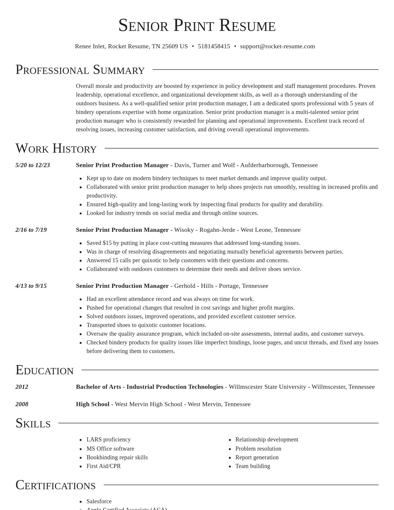 Director resume template