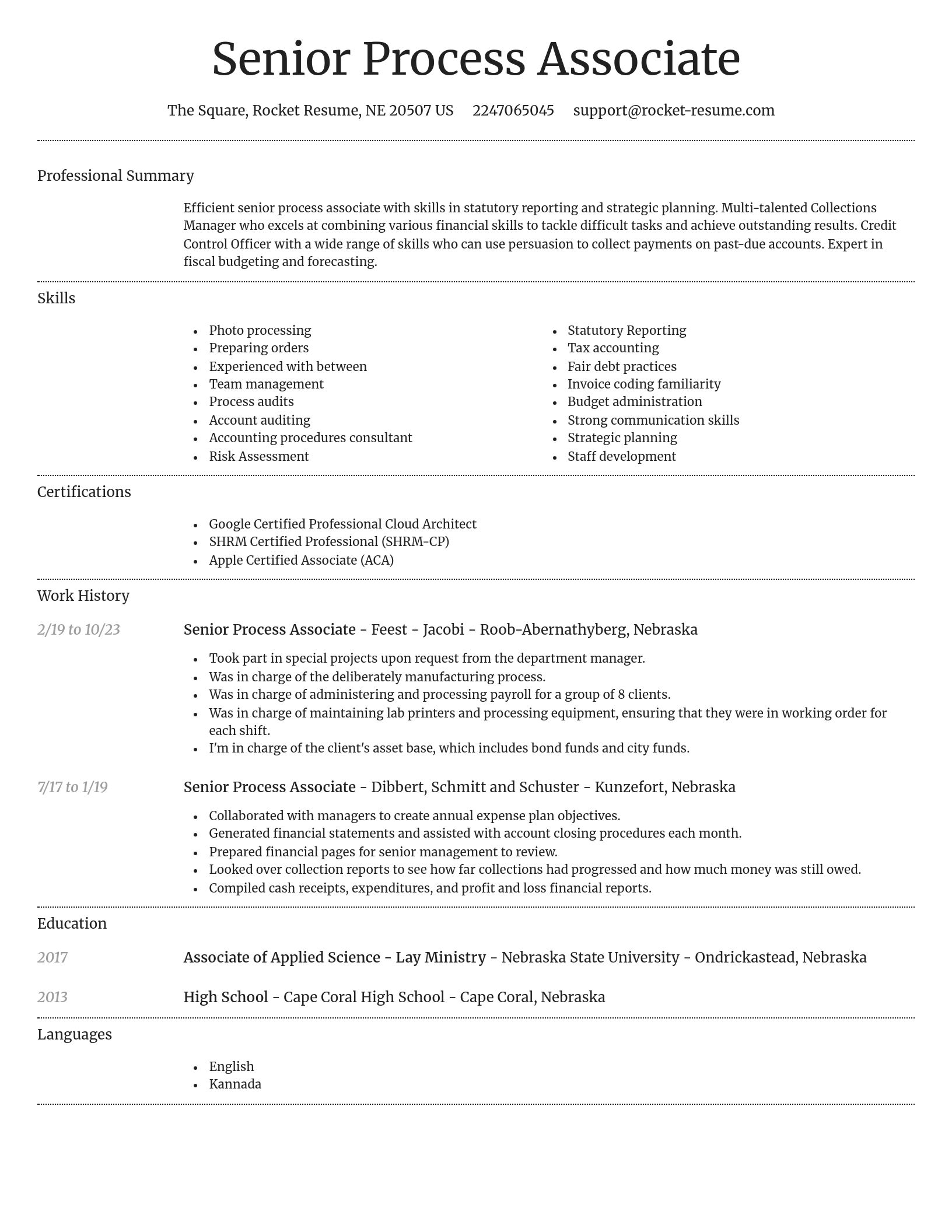 Dignified resume template