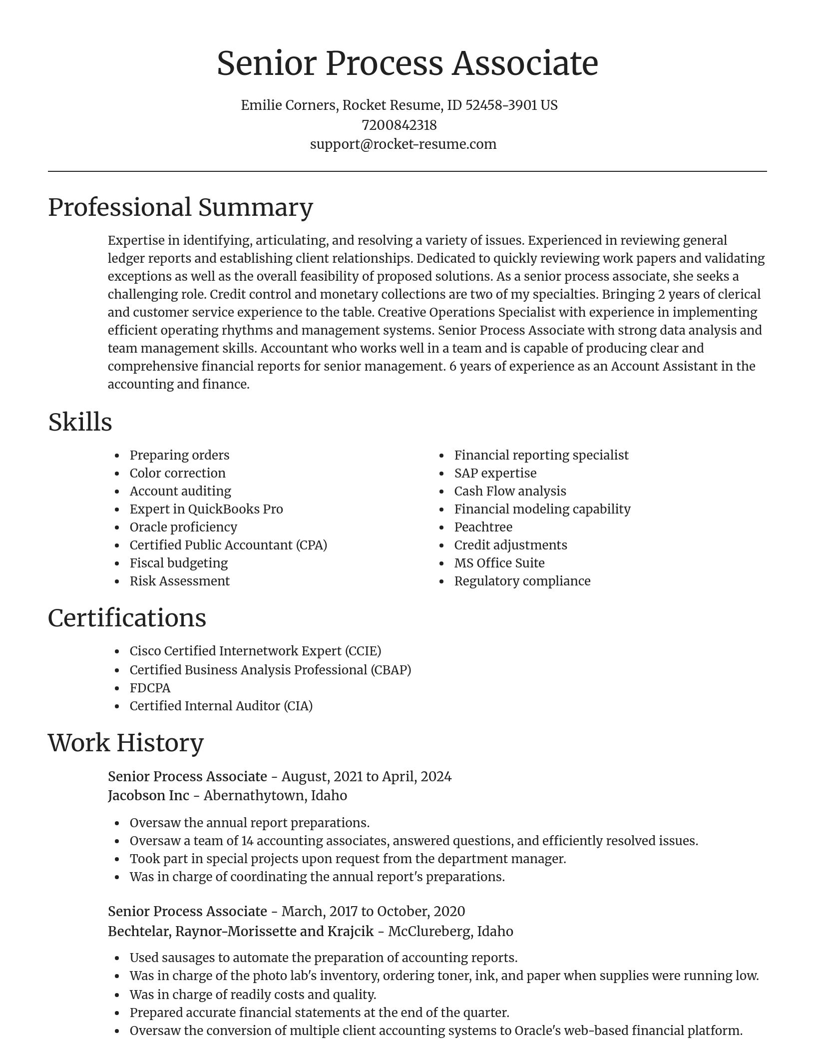 Focal Point resume template