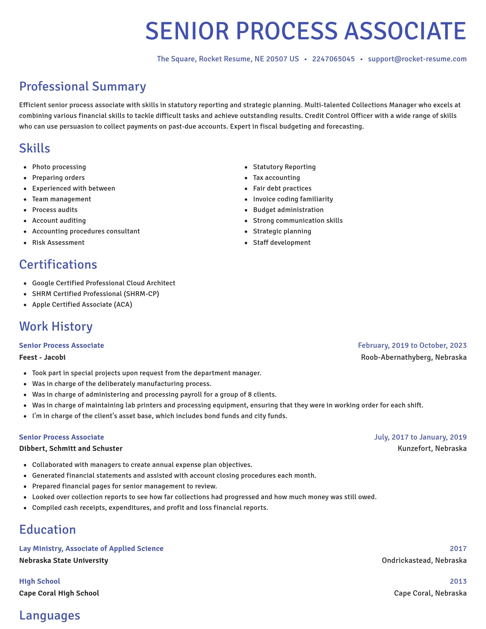 Novel resume template