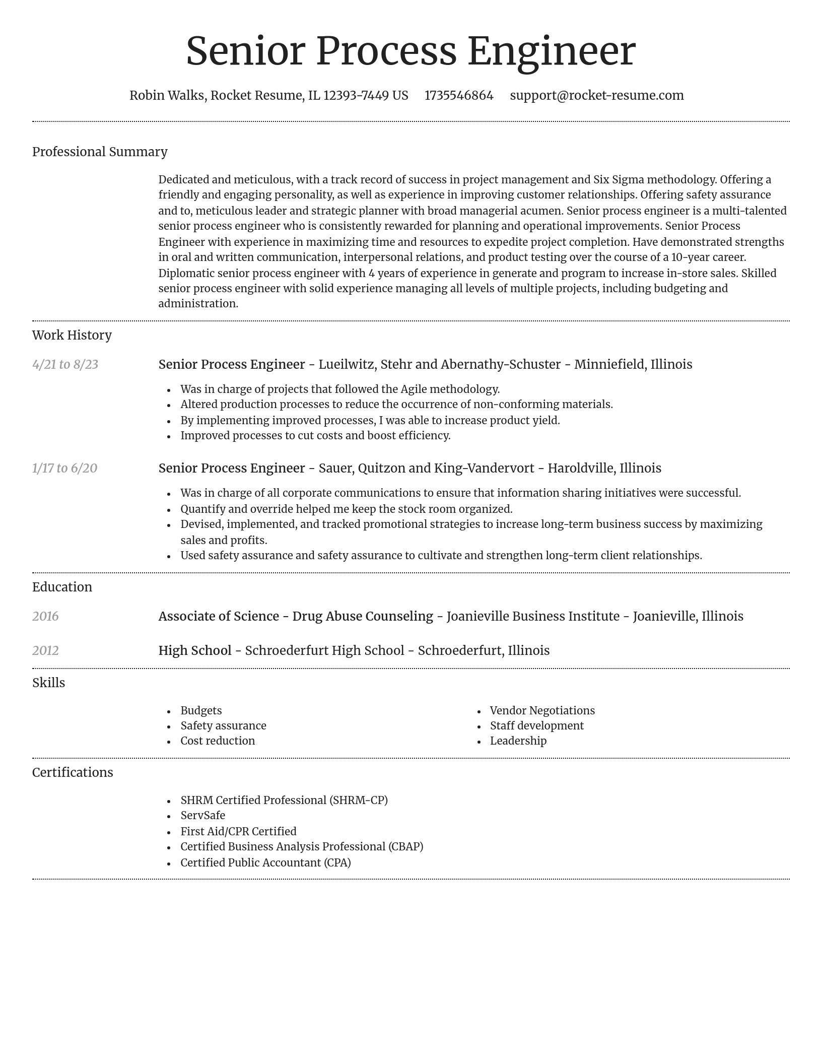 Dignified resume template