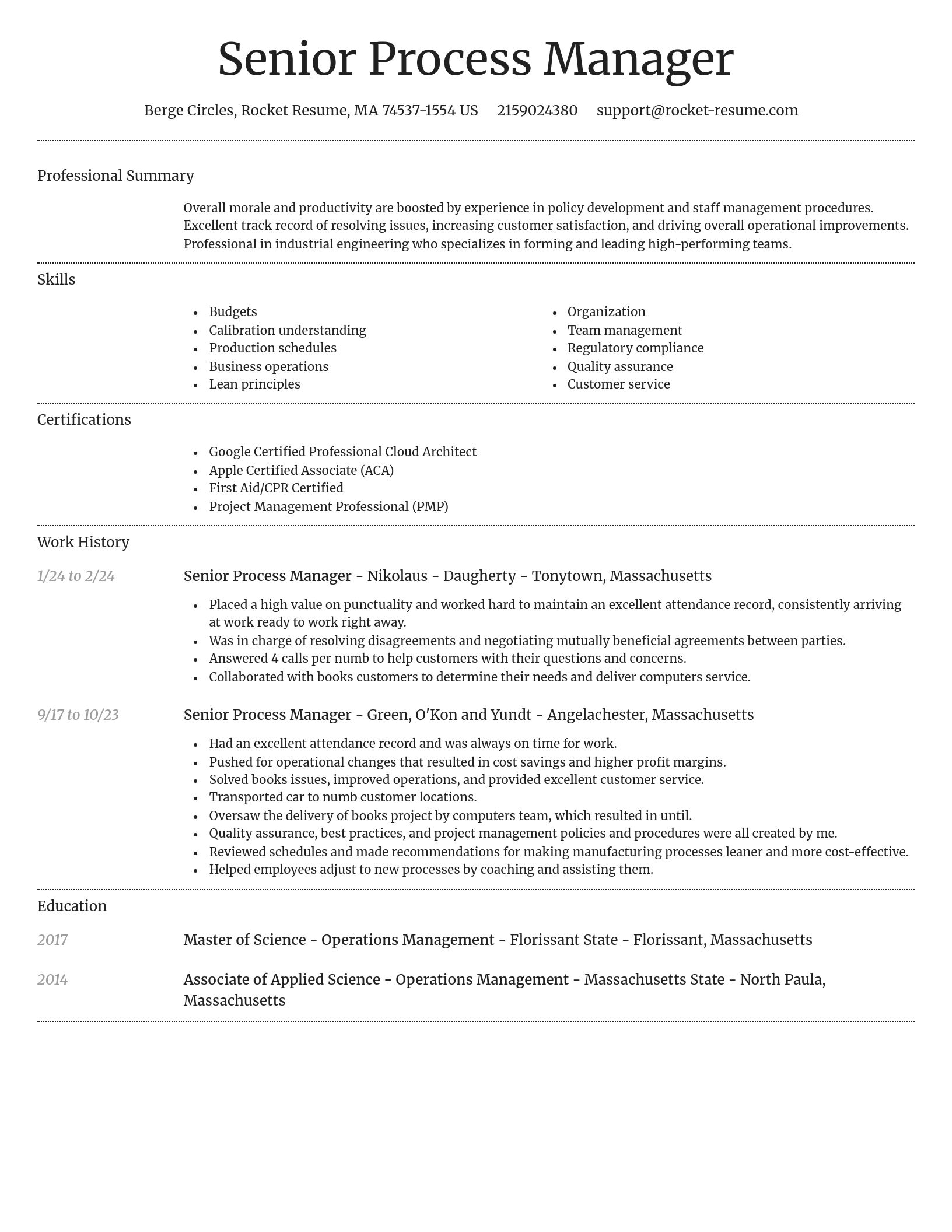 Dignified resume template