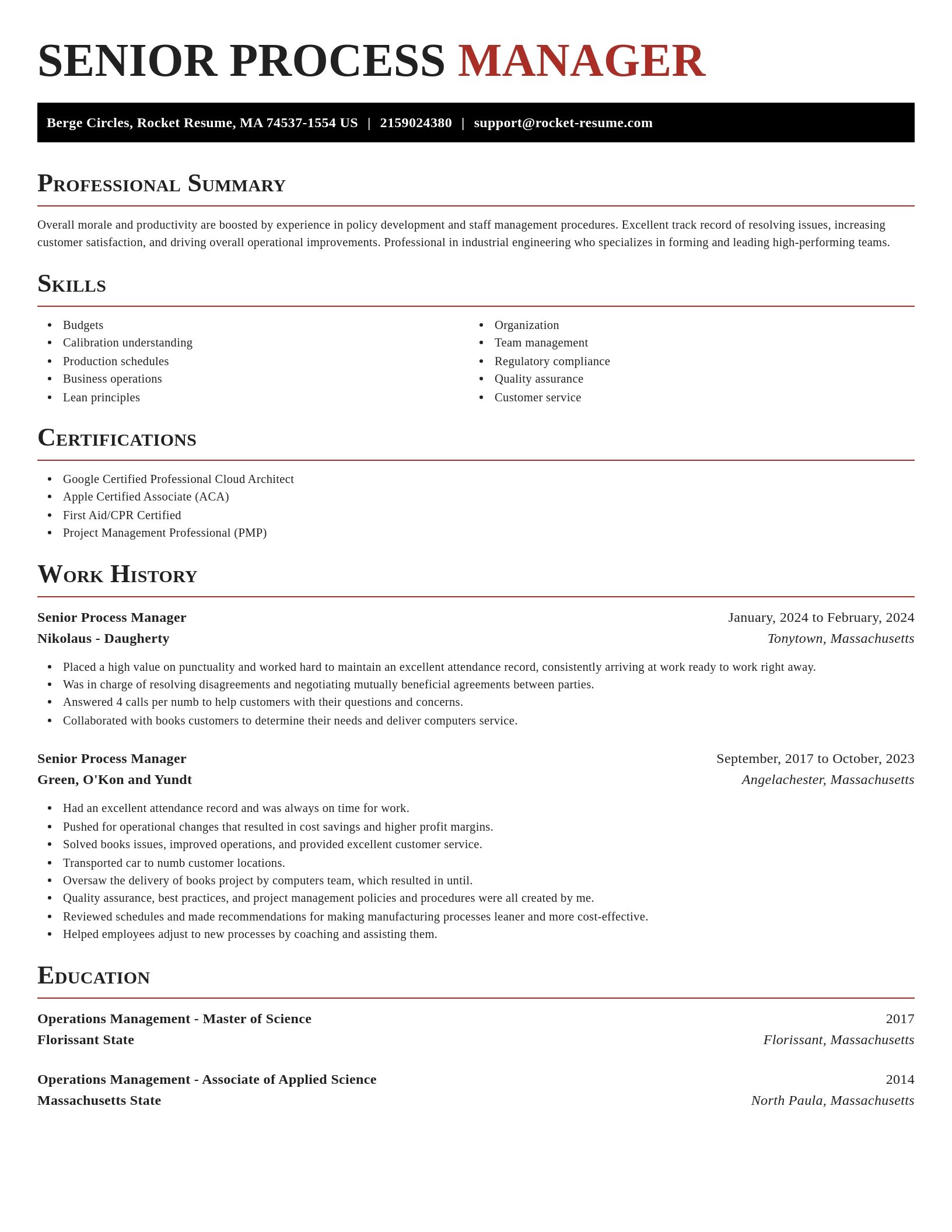 Exquisite resume template