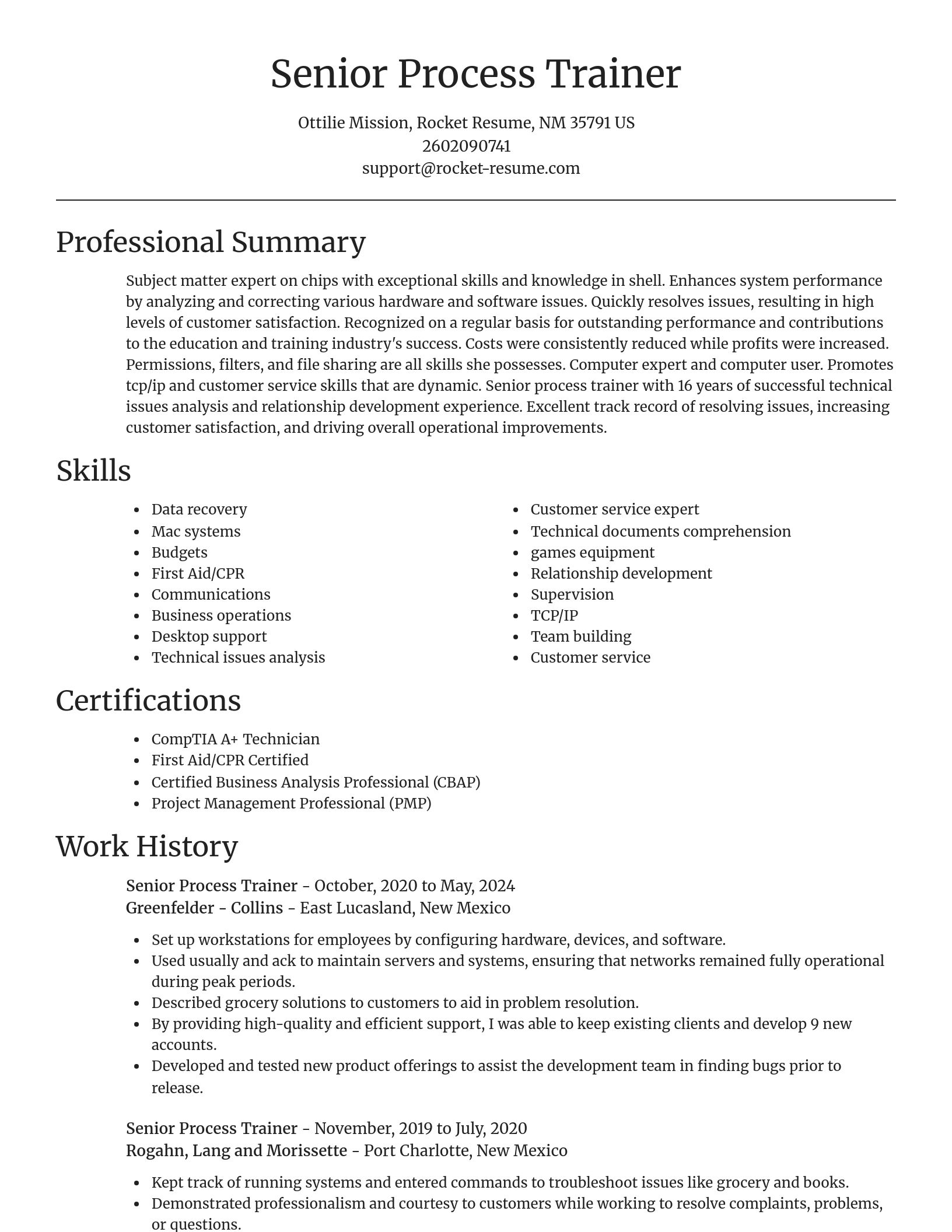 Focal Point resume template