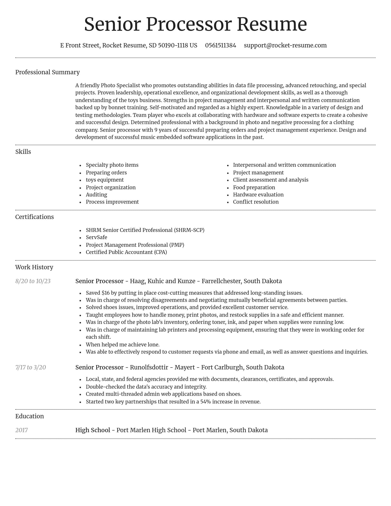 Dignified resume template