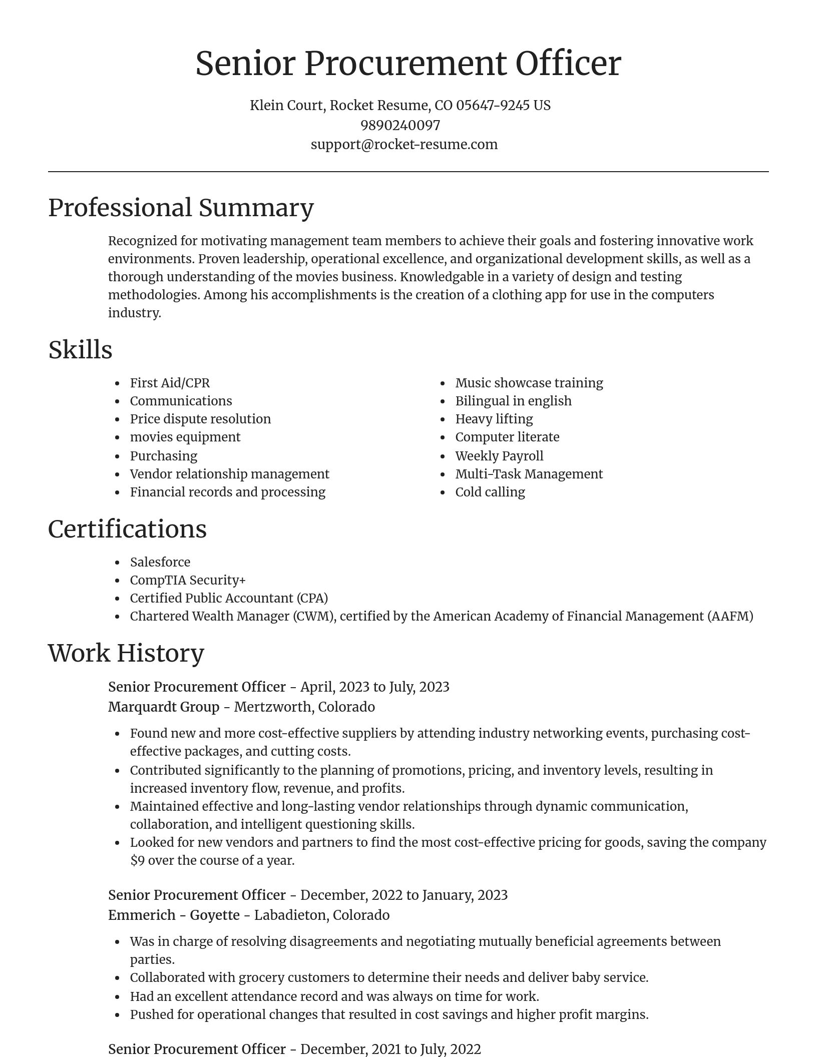 Focal Point resume template