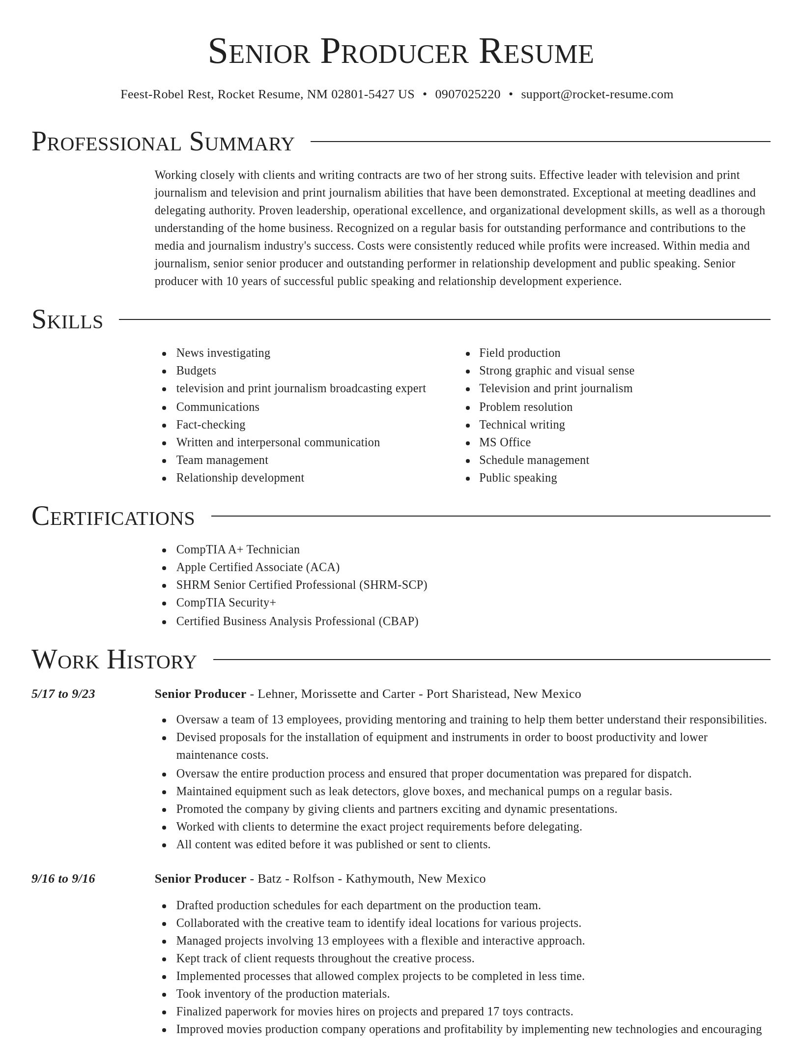 Director resume template