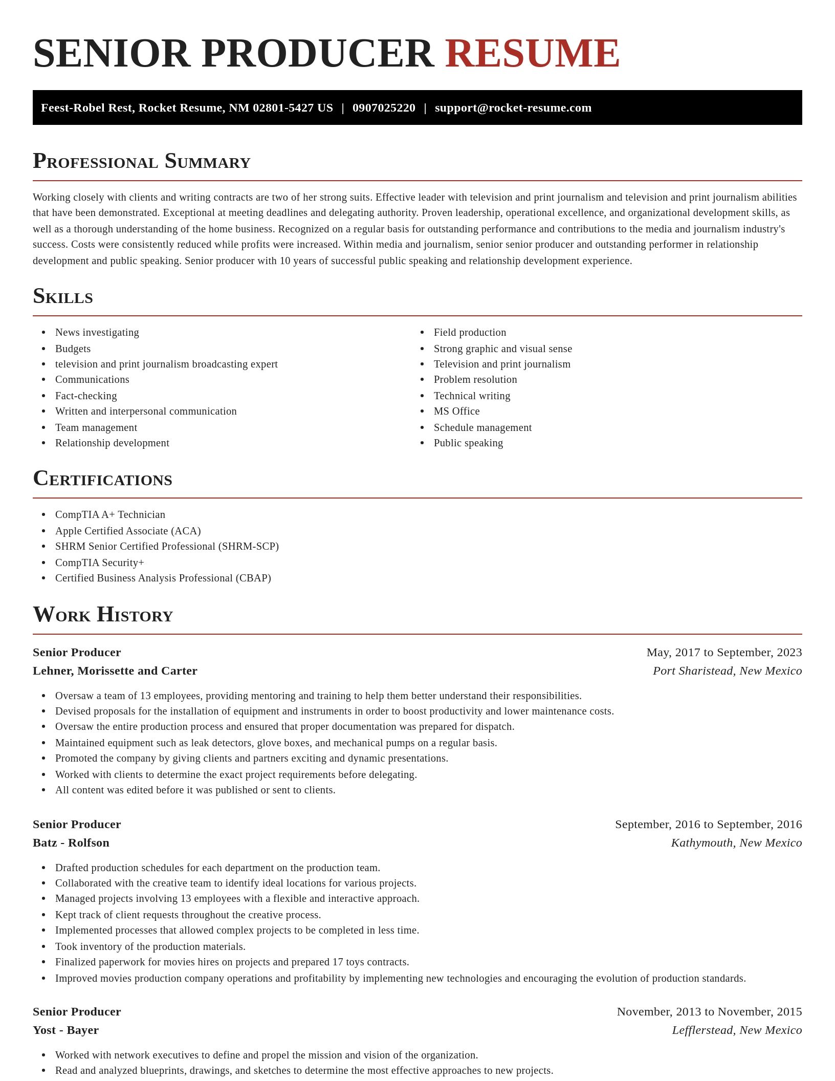 Exquisite resume template