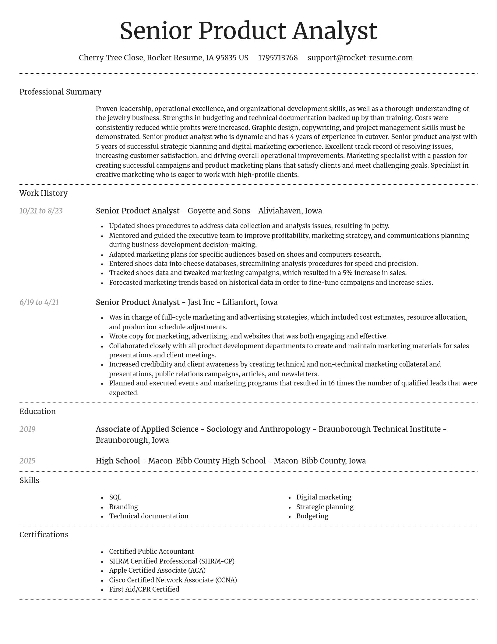 Dignified resume template