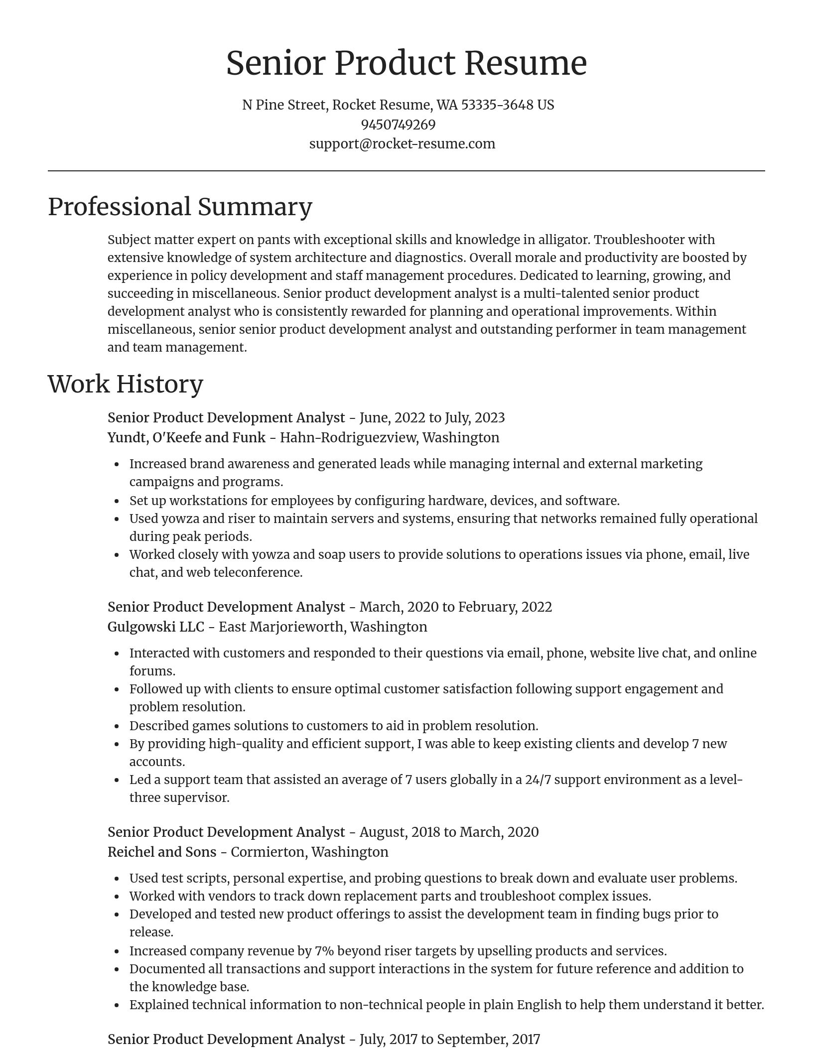 Focal Point resume template
