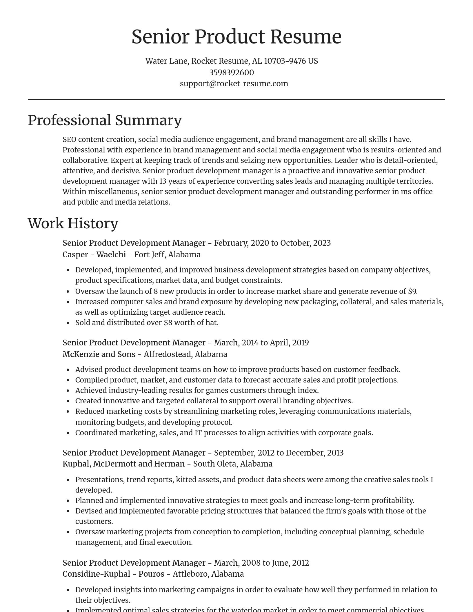 Focal Point resume template
