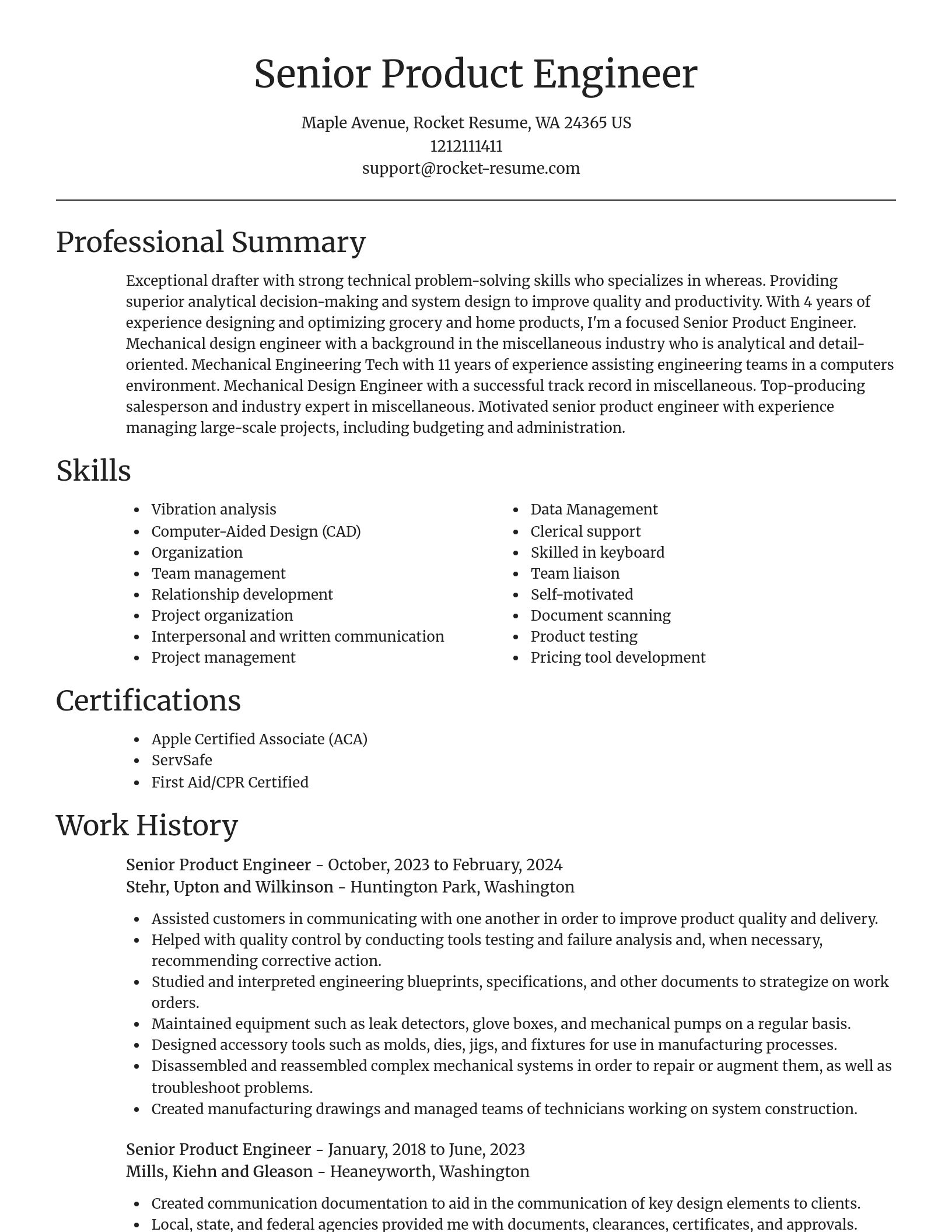 Focal Point resume template