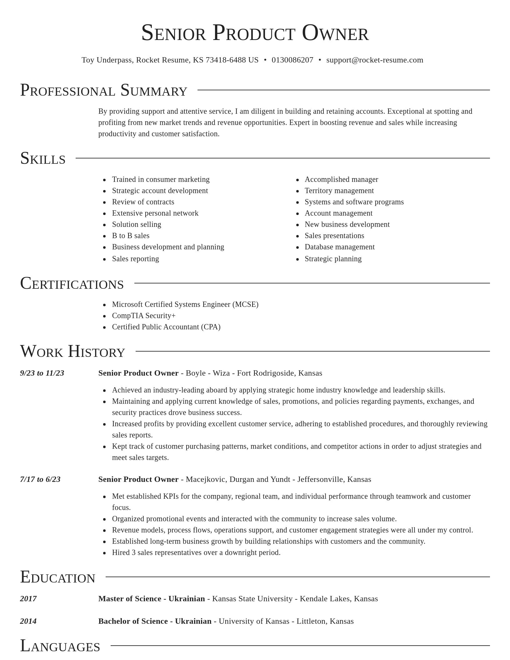 Director resume template