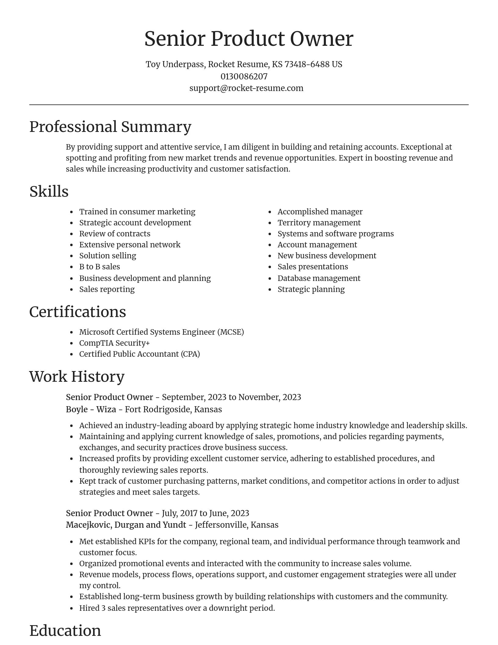Focal Point resume template