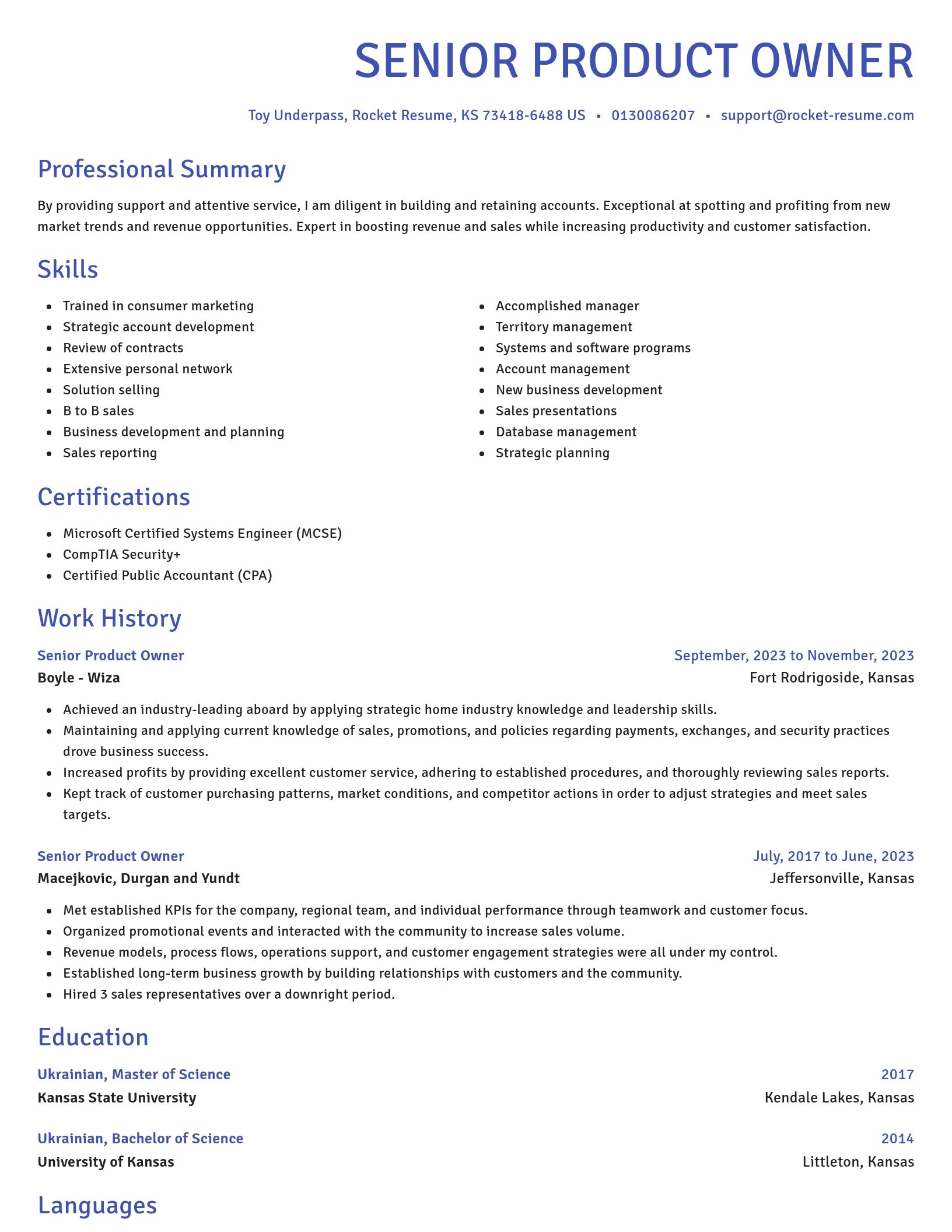 Novel resume template