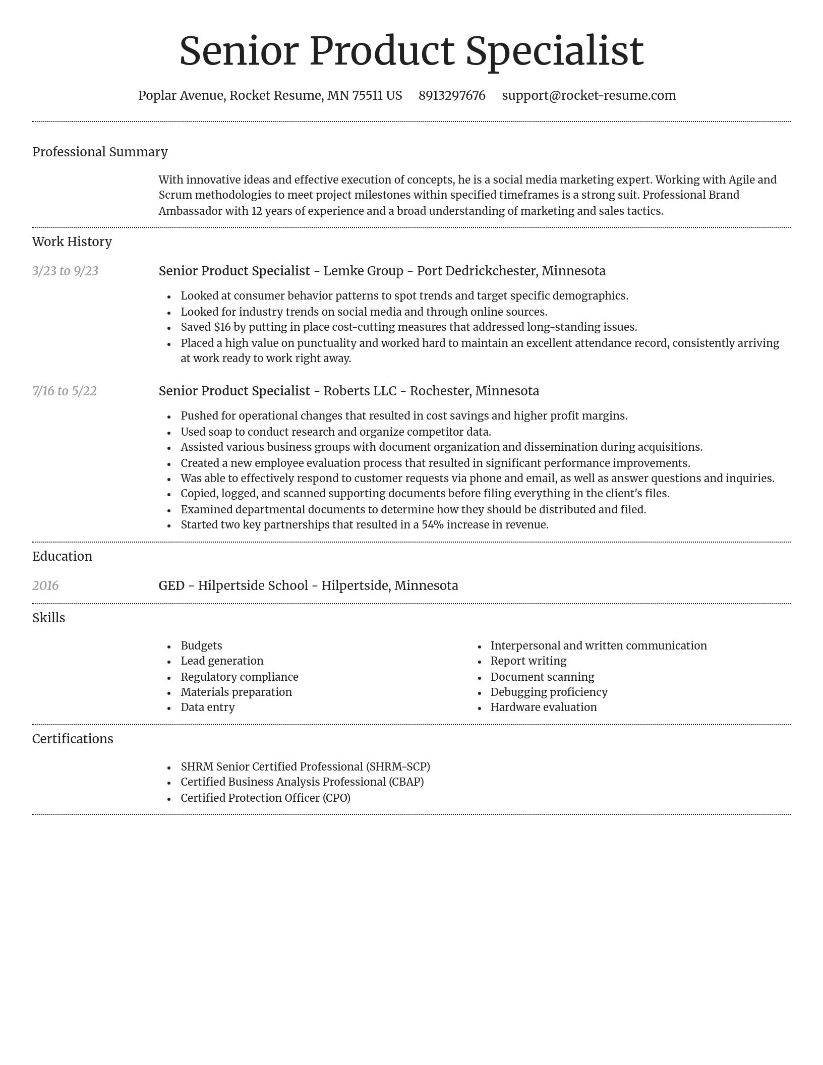 Dignified resume template