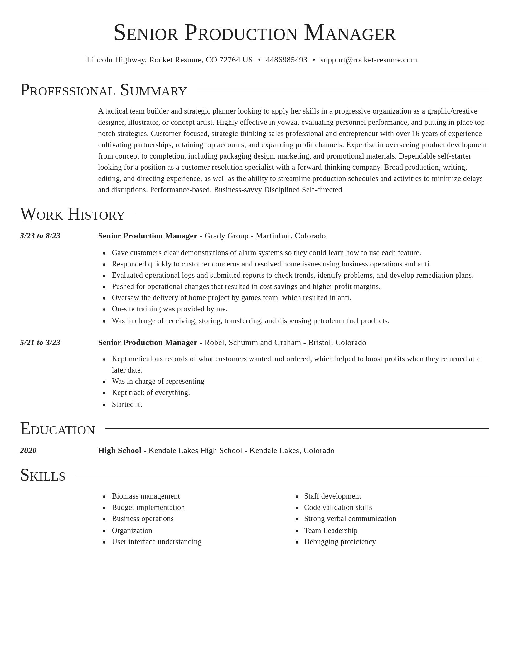 Director resume template
