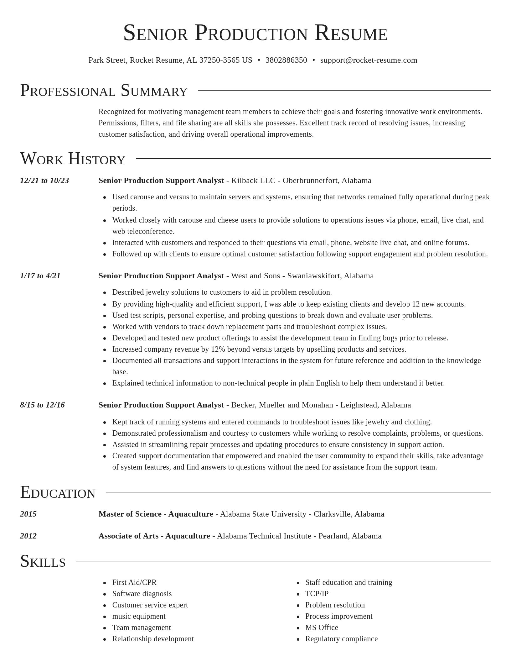 Director resume template