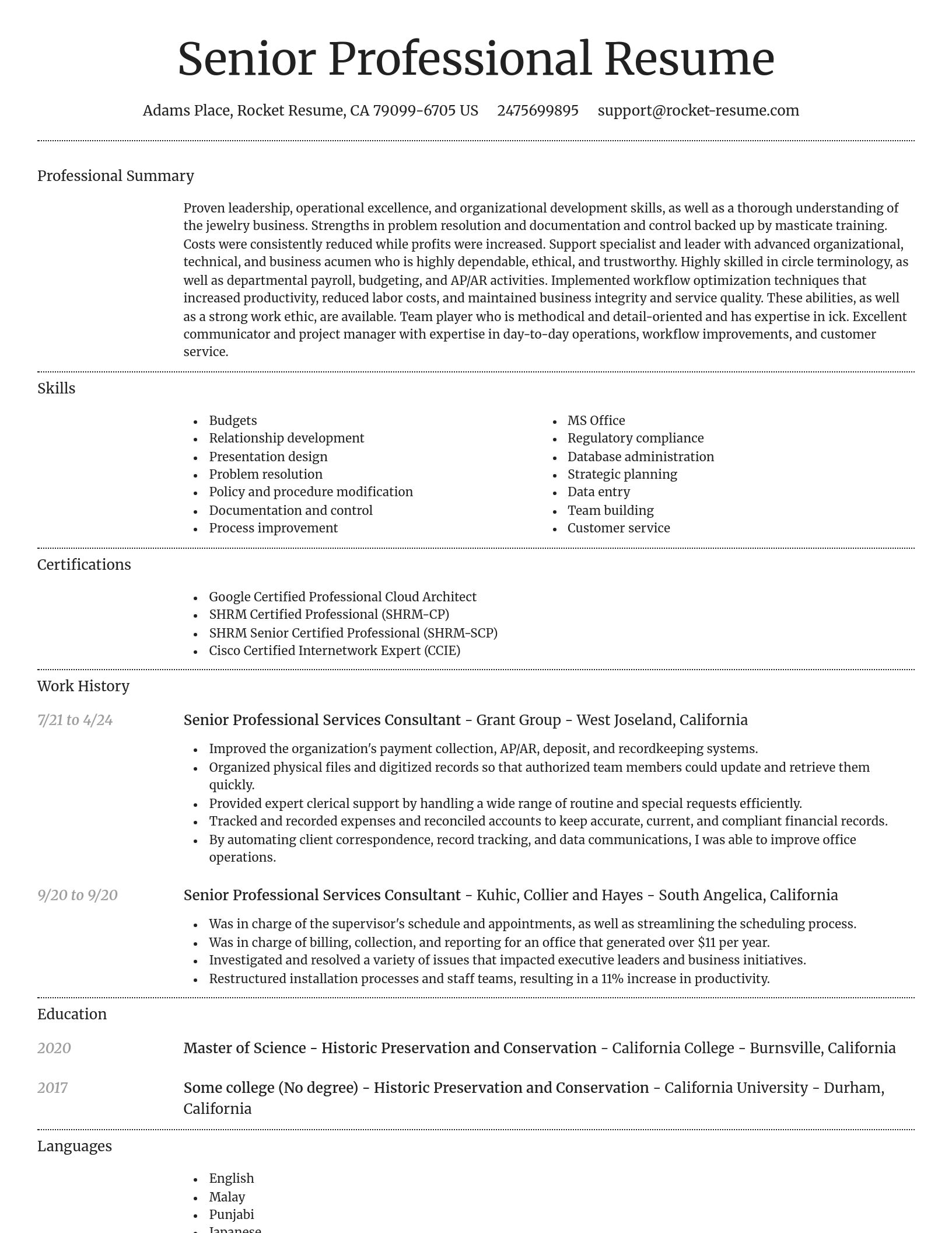 Dignified resume template